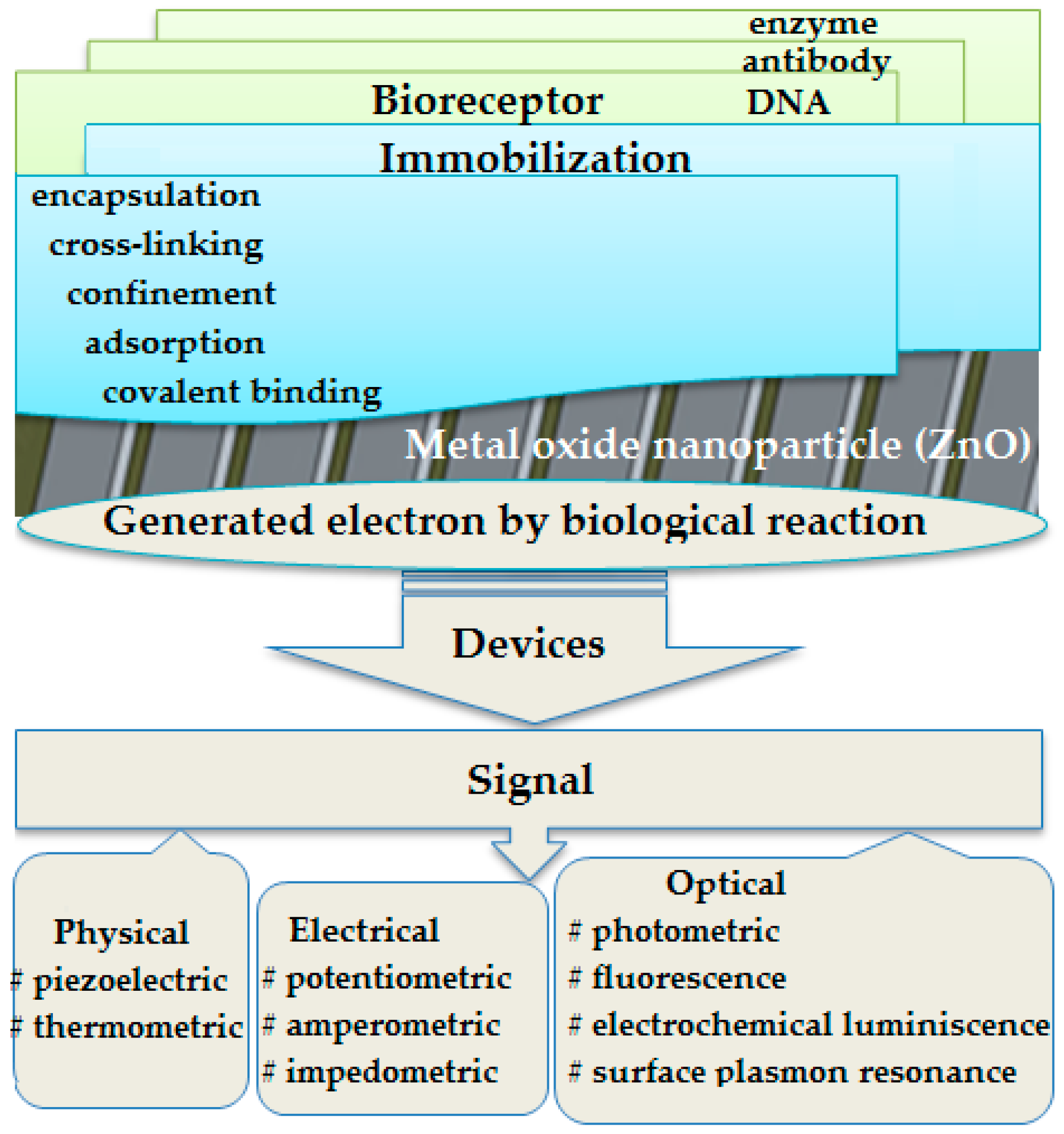 Micromachines 13 01997 g001 Micromachines 13 01997 g001
