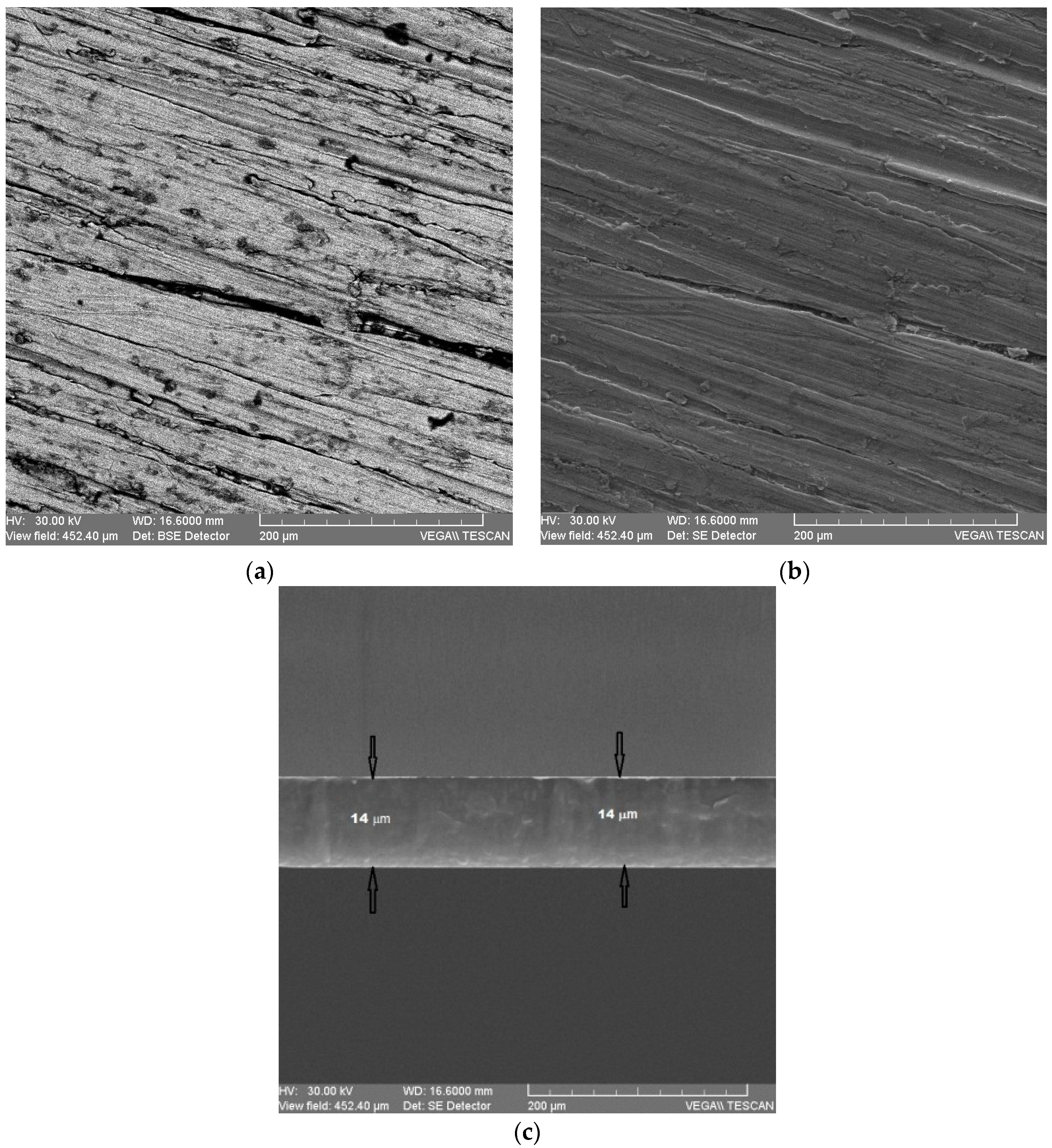 Micromachines 13 01997 g004 Micromachines 13 01997 g004