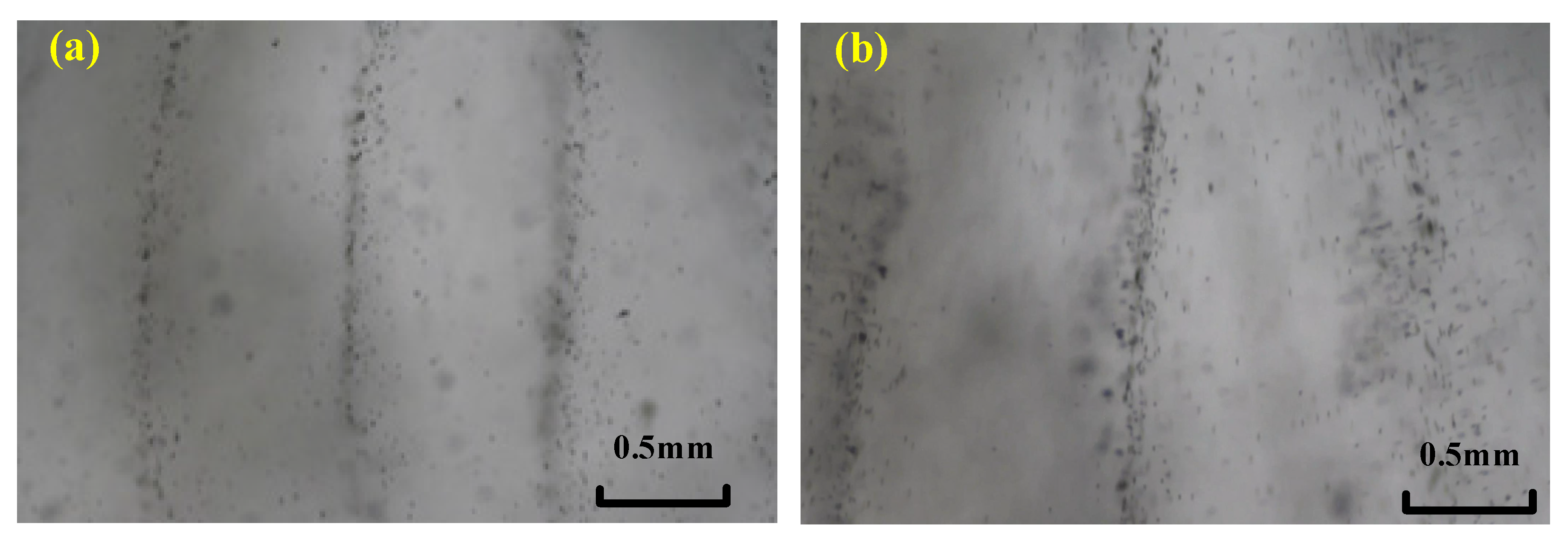 Micromachines 13 02003 g008