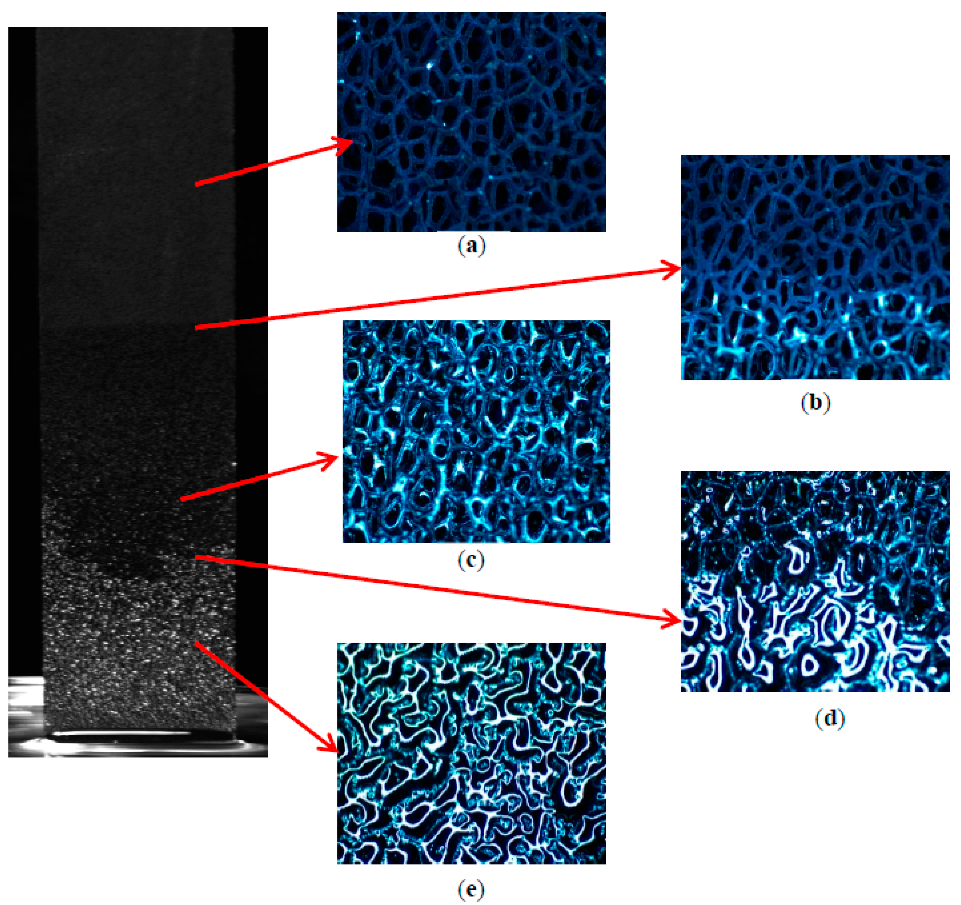 Micromachines 13 02052 g012