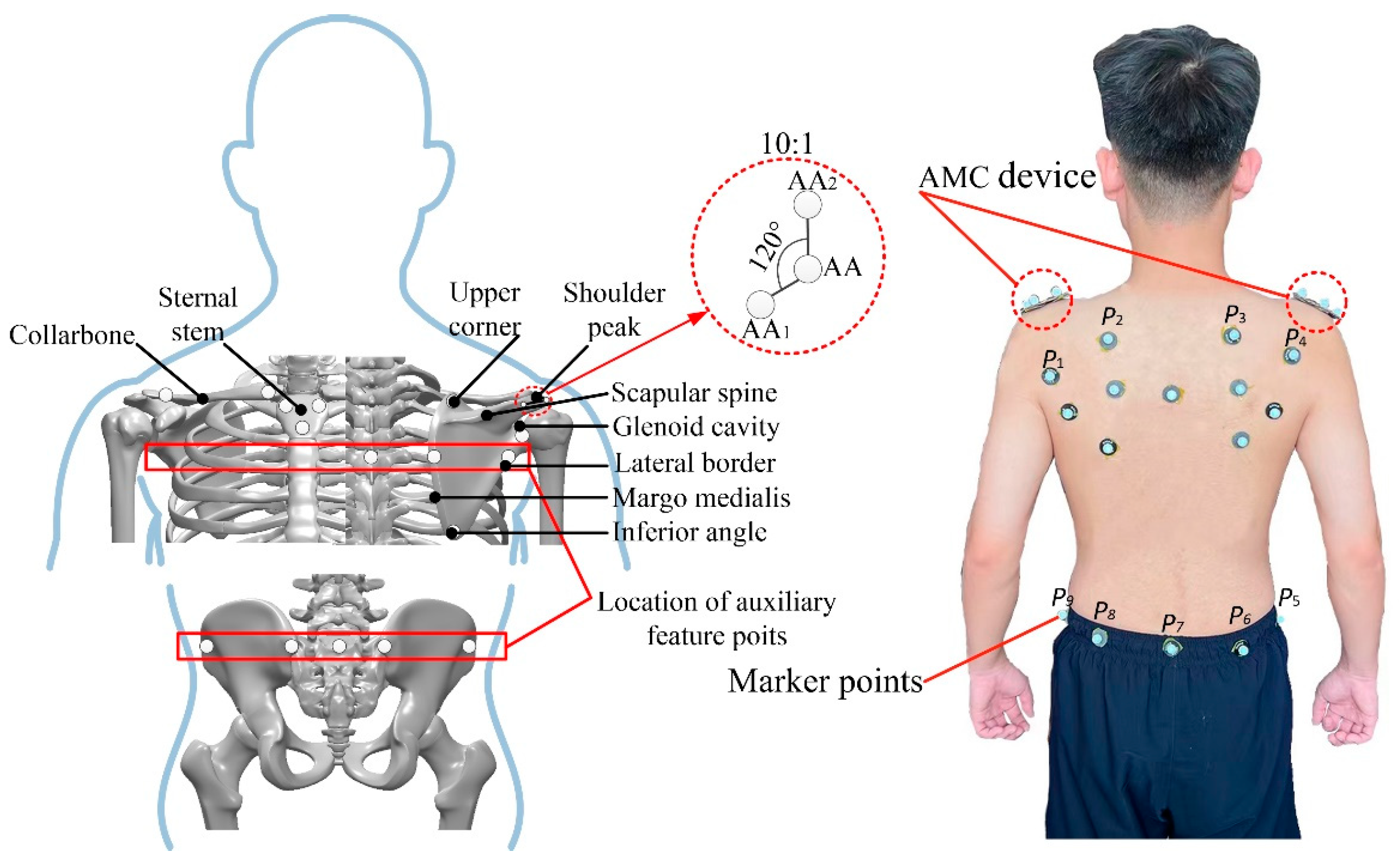 Micromachines 13 02064 g002
