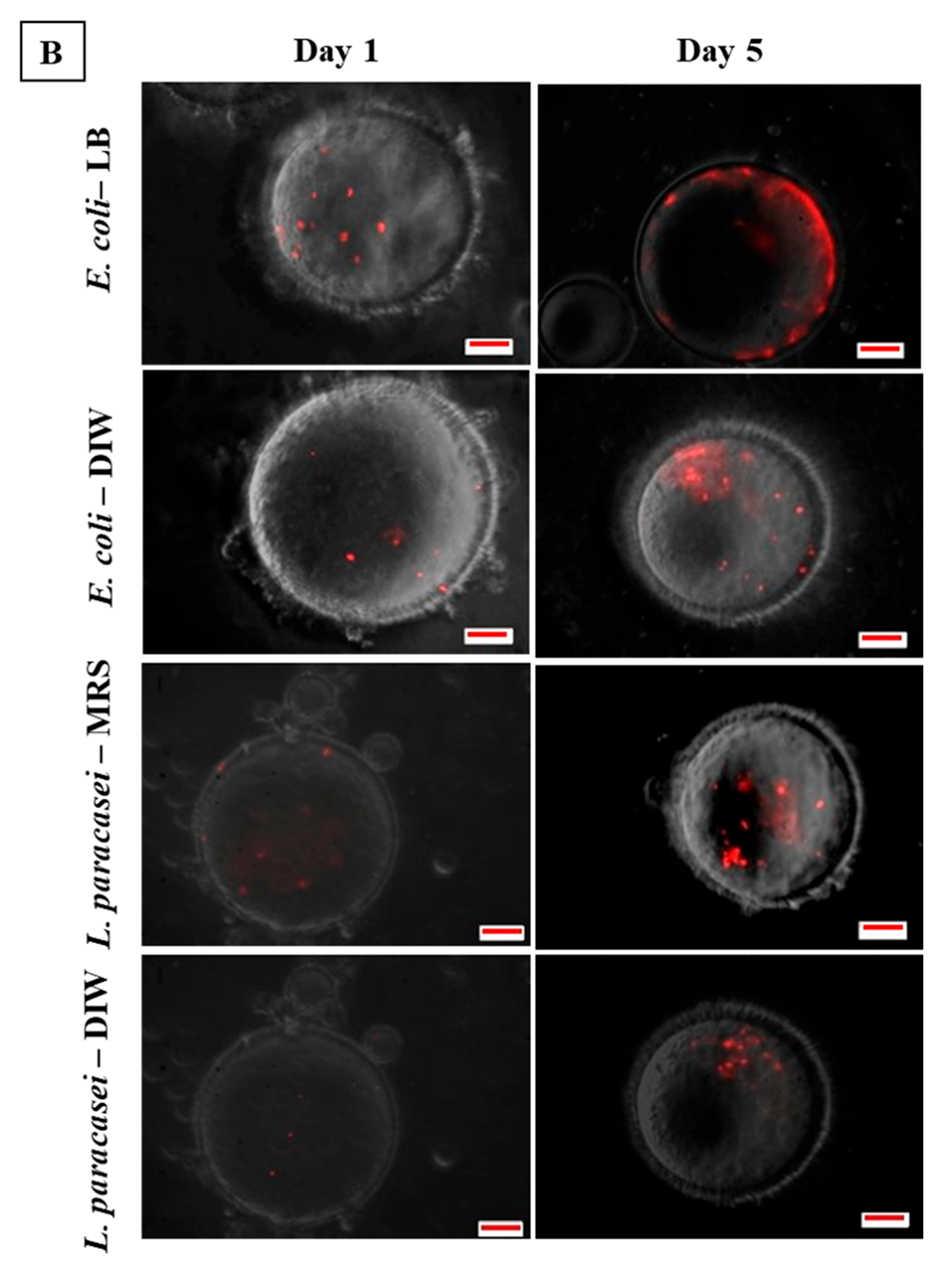 Micromachines 13 02067 g004b