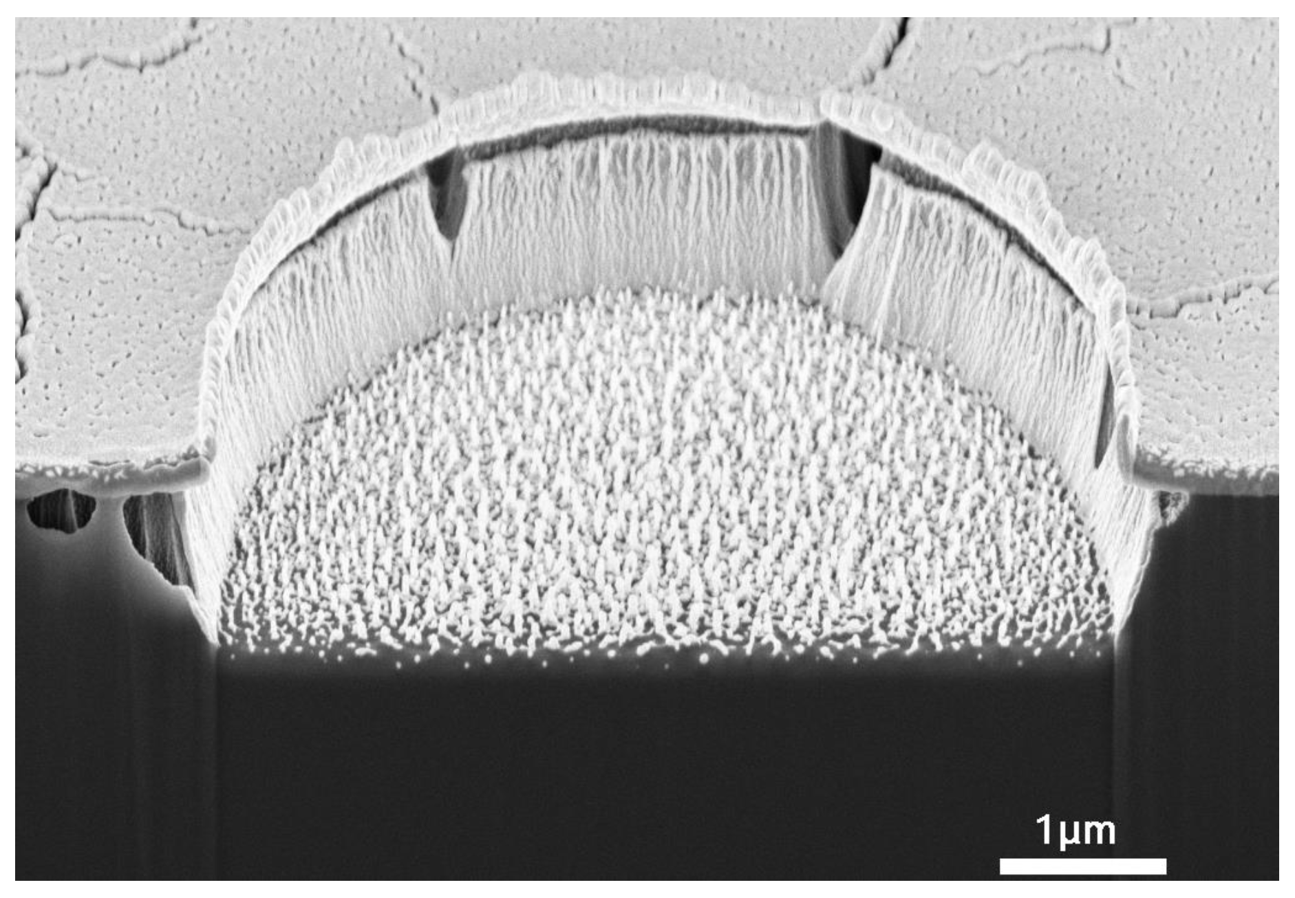 Micromachines 13 02081 g007