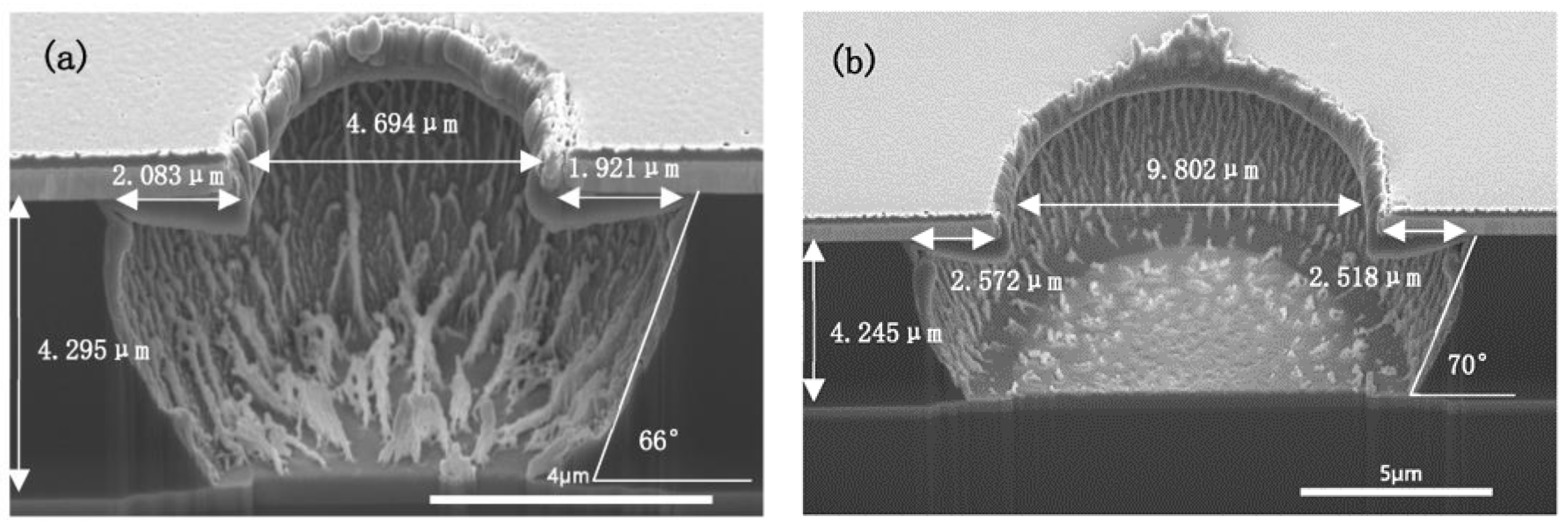 Micromachines 13 02081 g010
