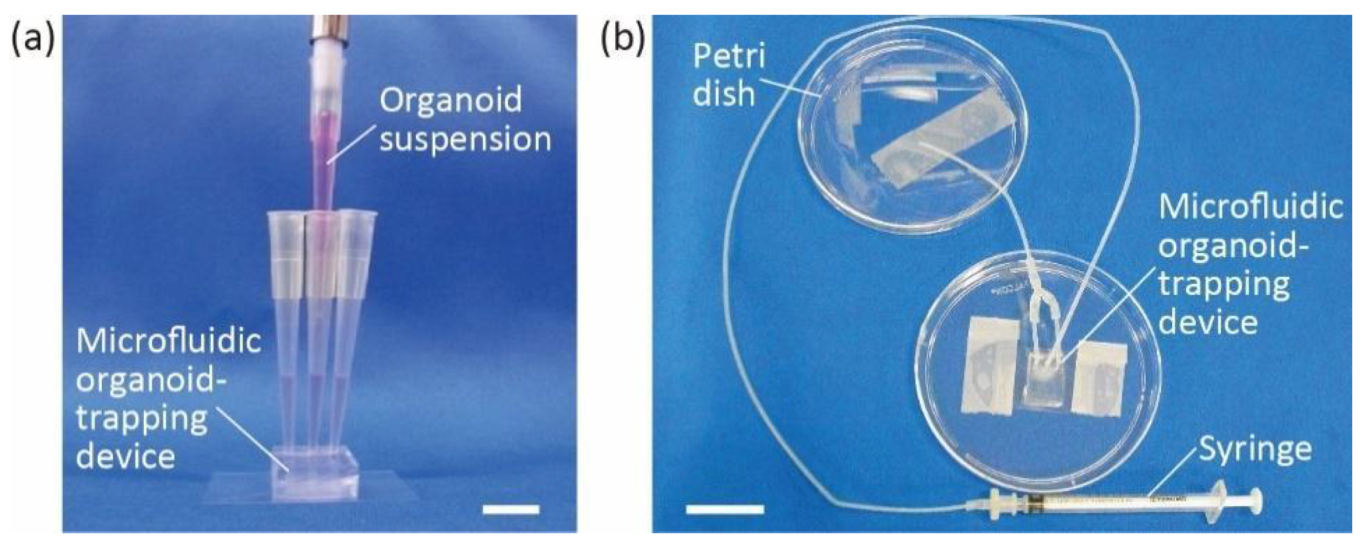 Micromachines 13 02082 g002 550