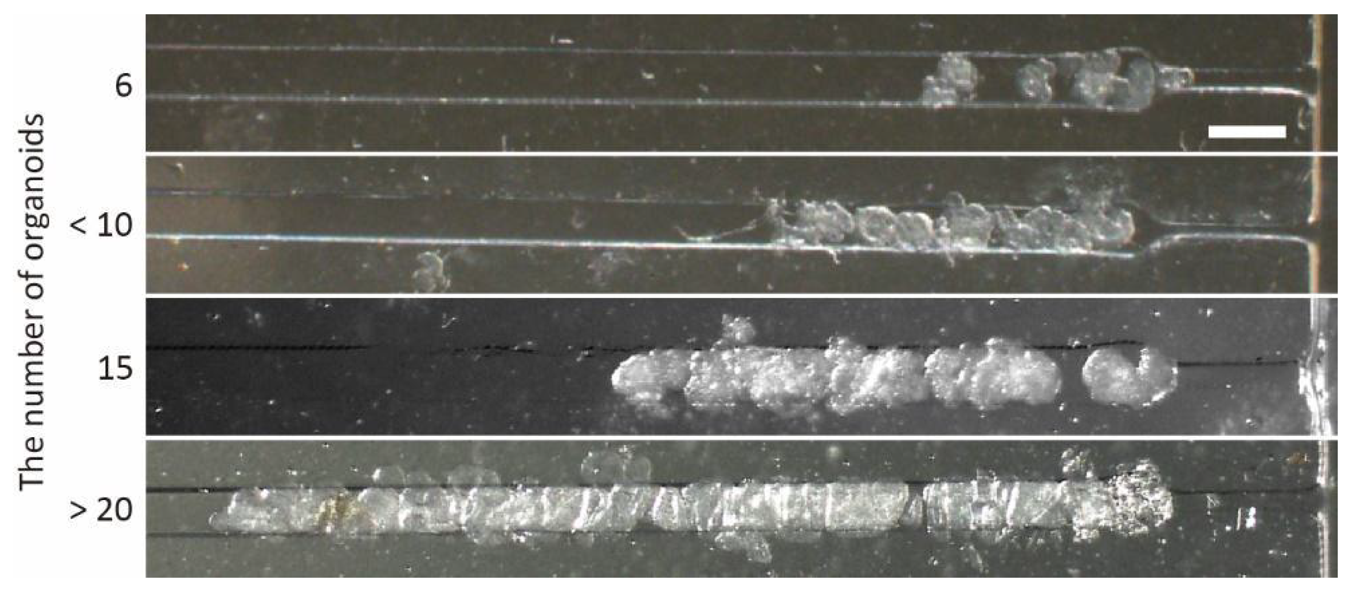 Micromachines 13 02082 g005 550