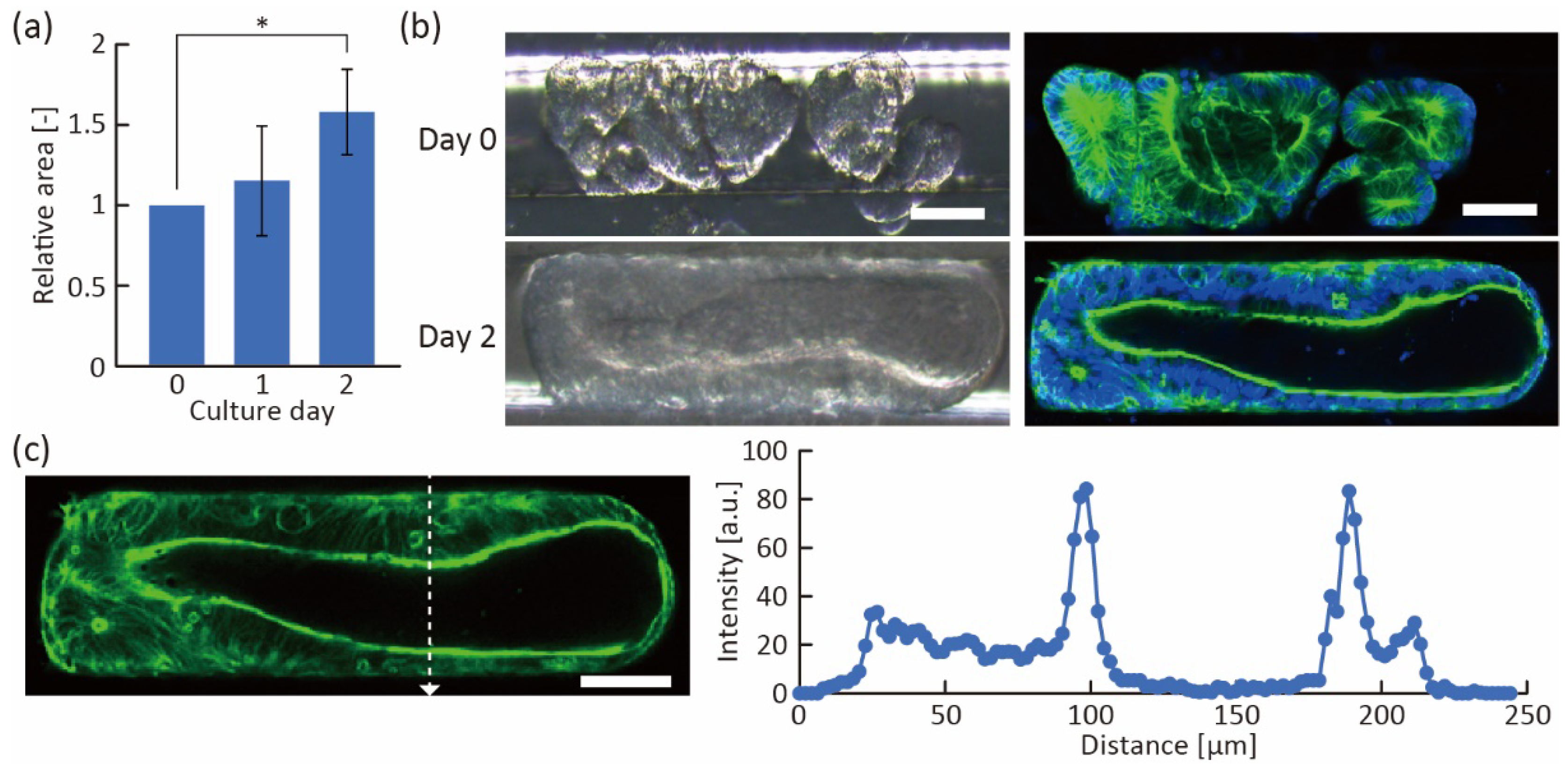 Micromachines 13 02082 g006 550