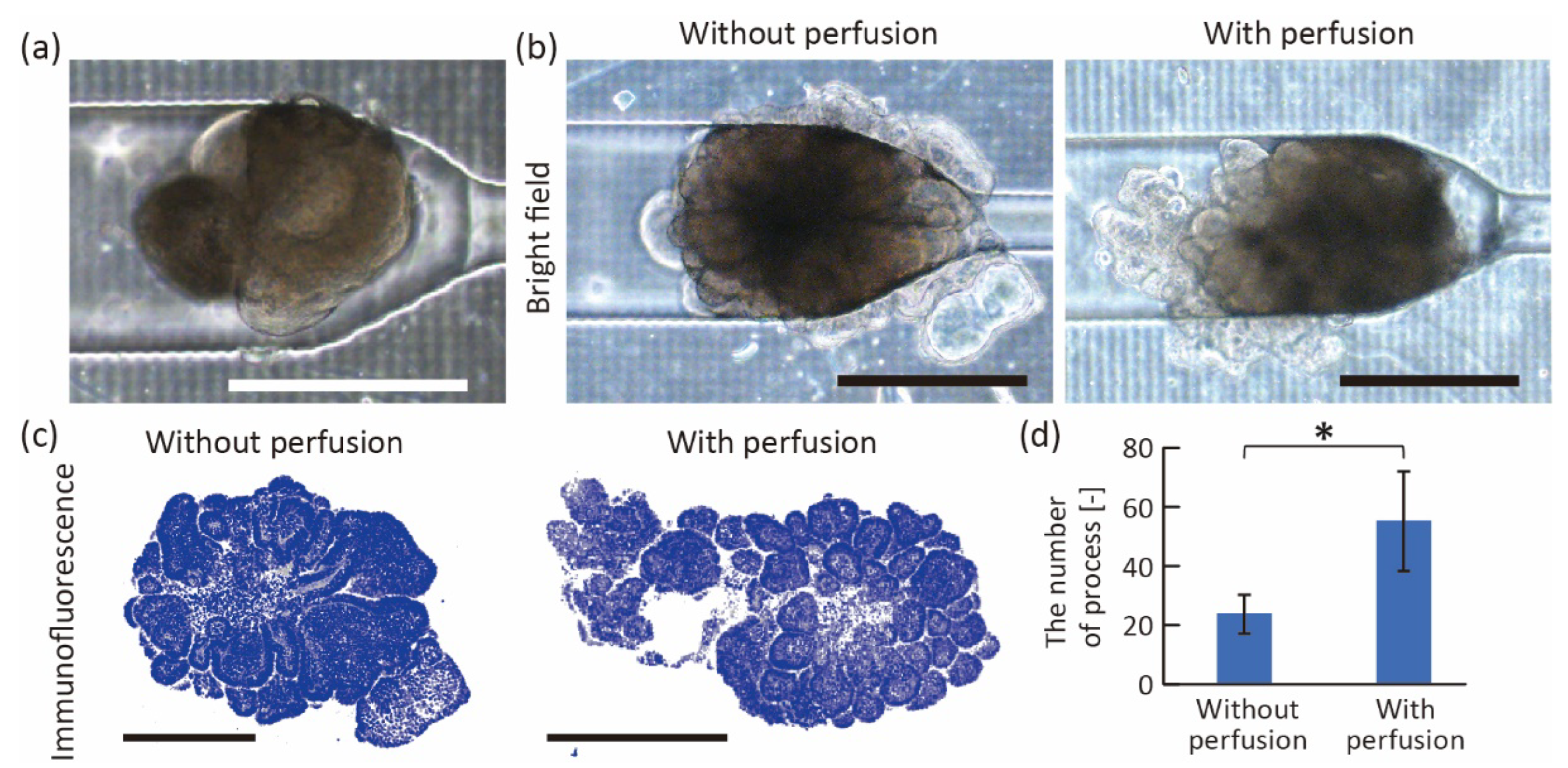 Micromachines 13 02082 g007 550