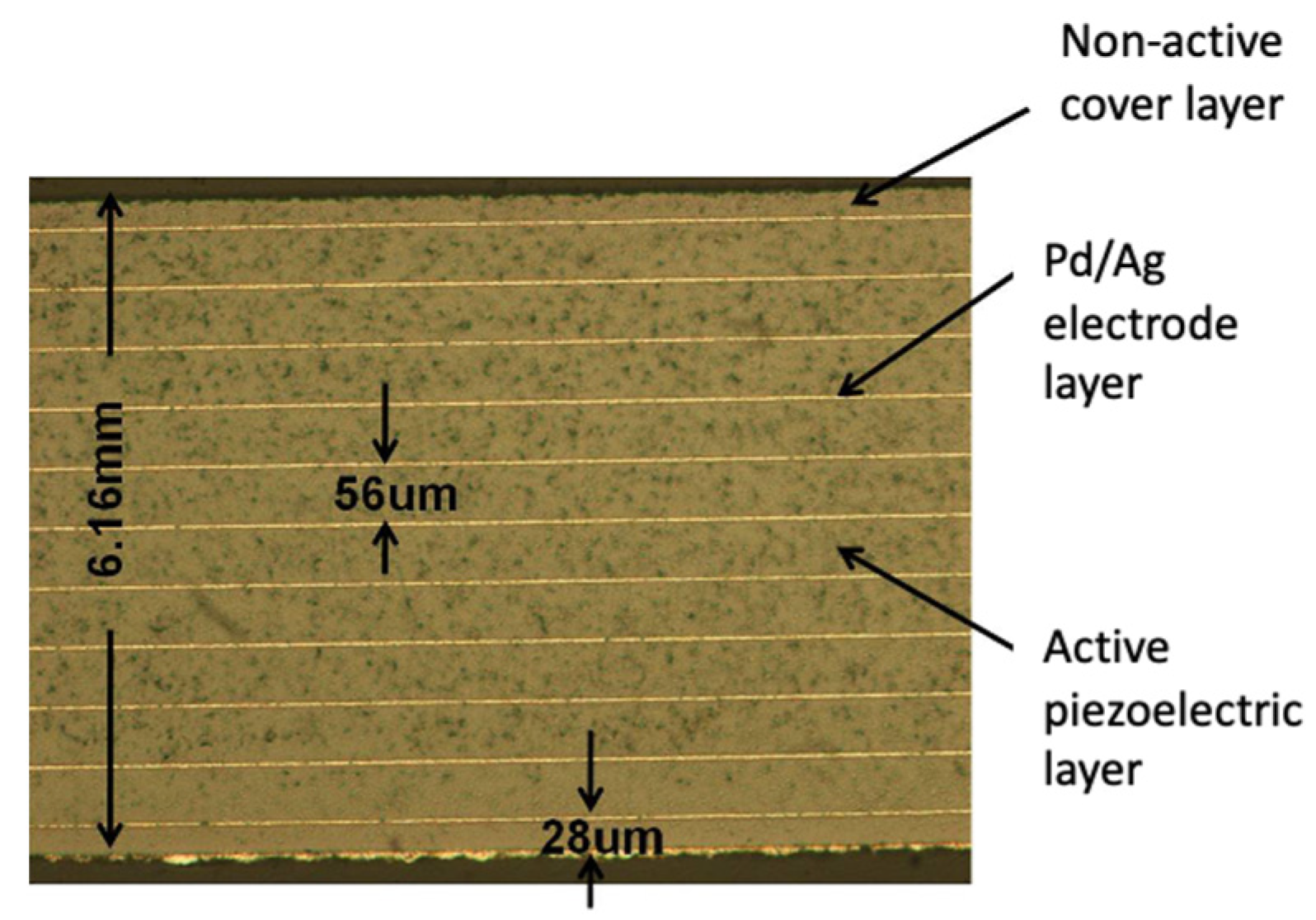 Micromachines 13 02126 g009 Micromachines 13 02126 g009