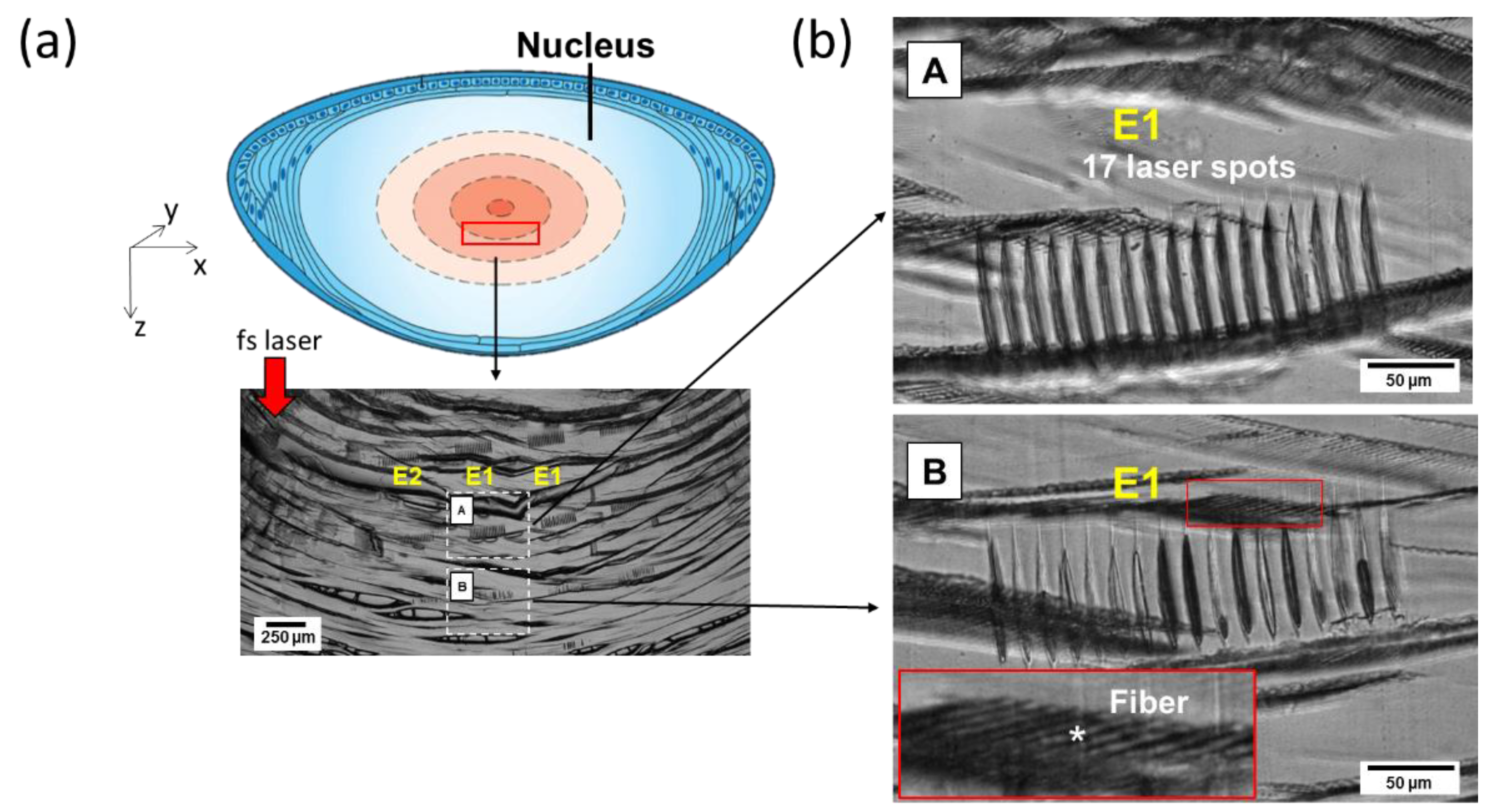 Micromachines 13 02128 g004 Micromachines 13 02128 g004