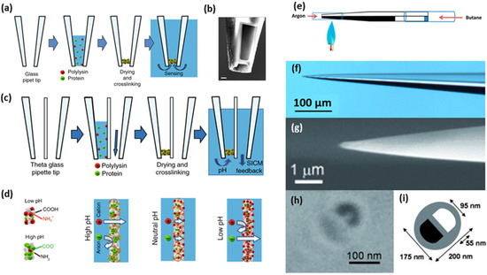 Micromachines | Free Full-Text | Micro-Sized pH Sensors Based on ...