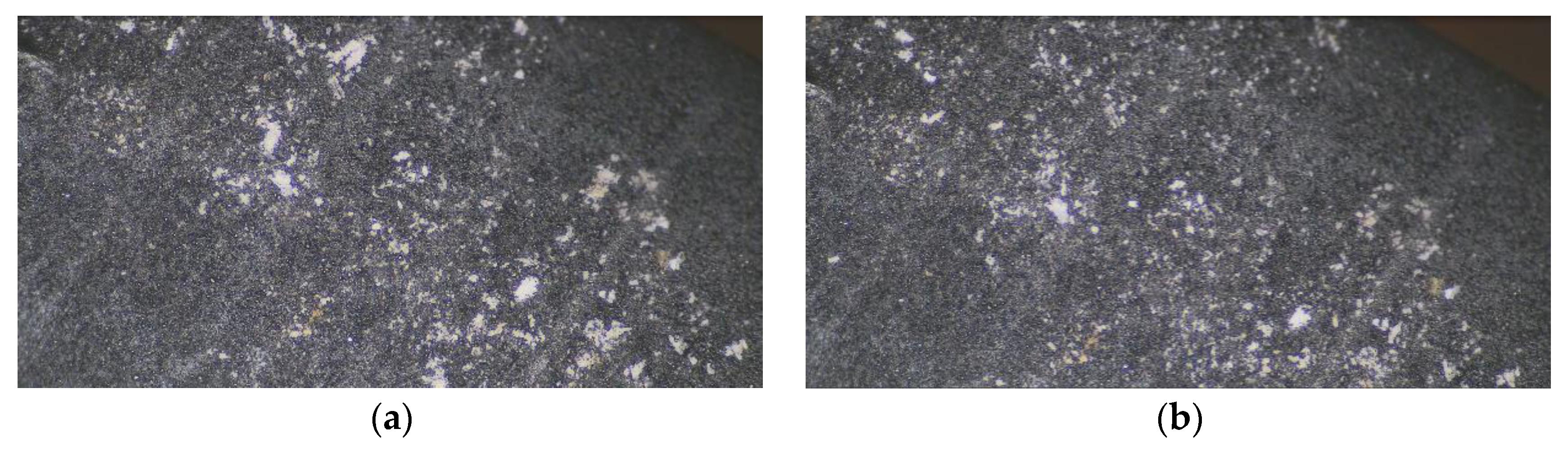 Micromachines 13 02155 g012