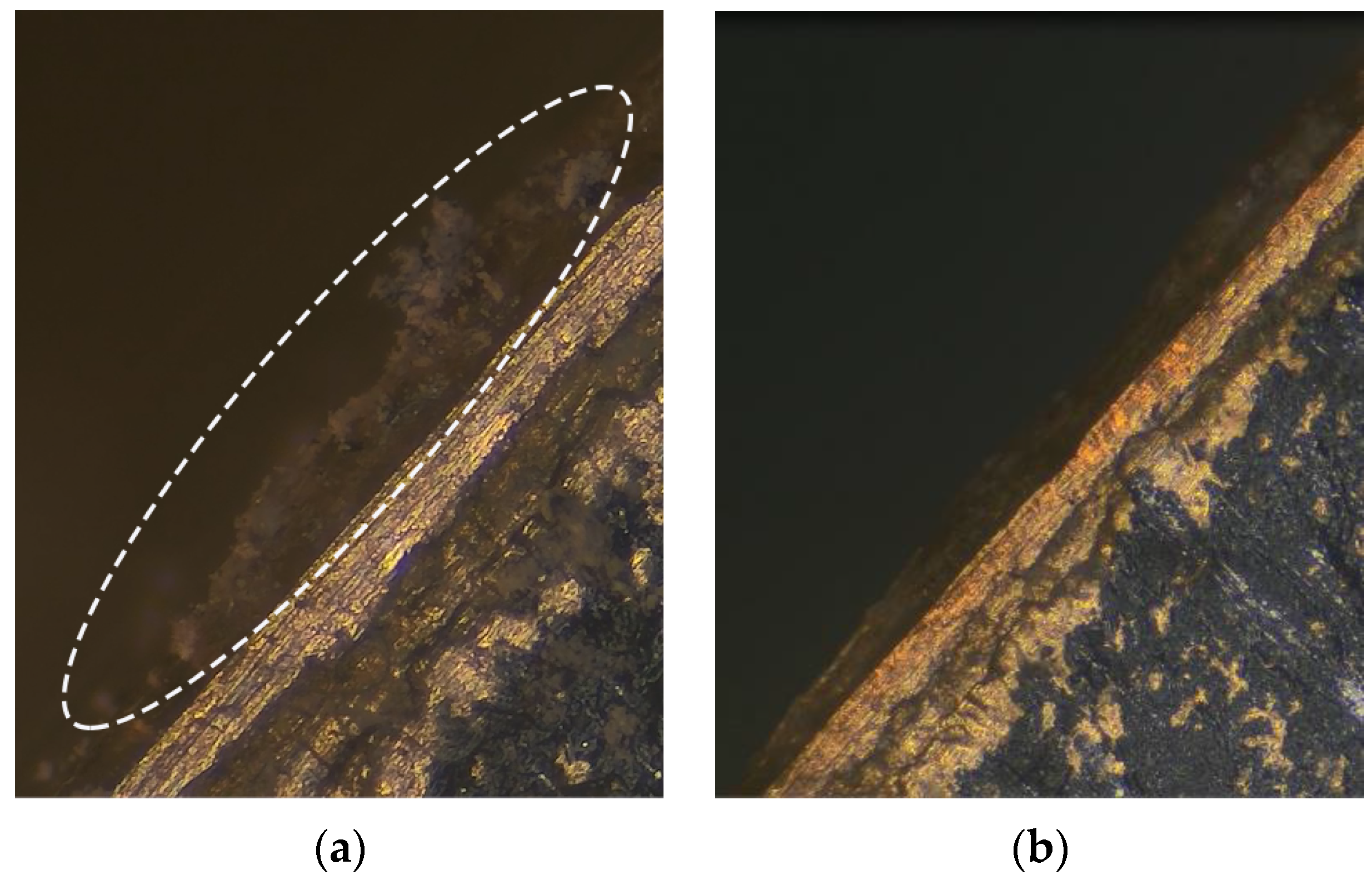 Micromachines 13 02155 g013