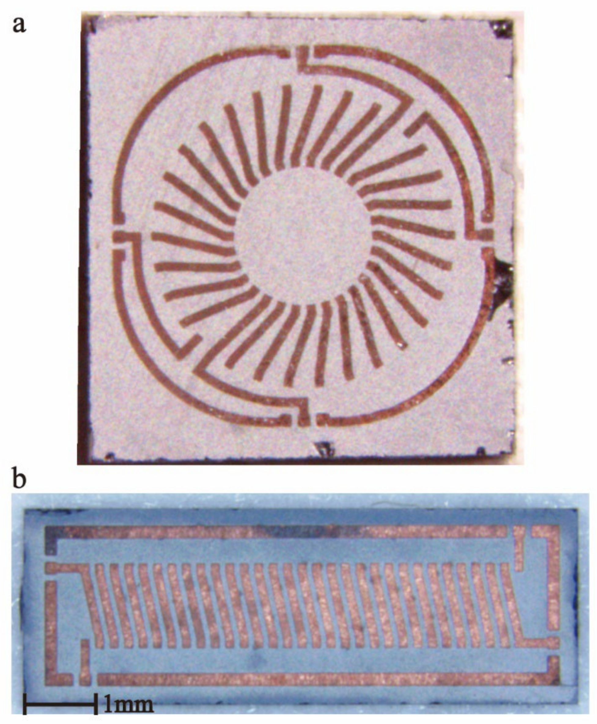 Micromachines 13 02162 g008