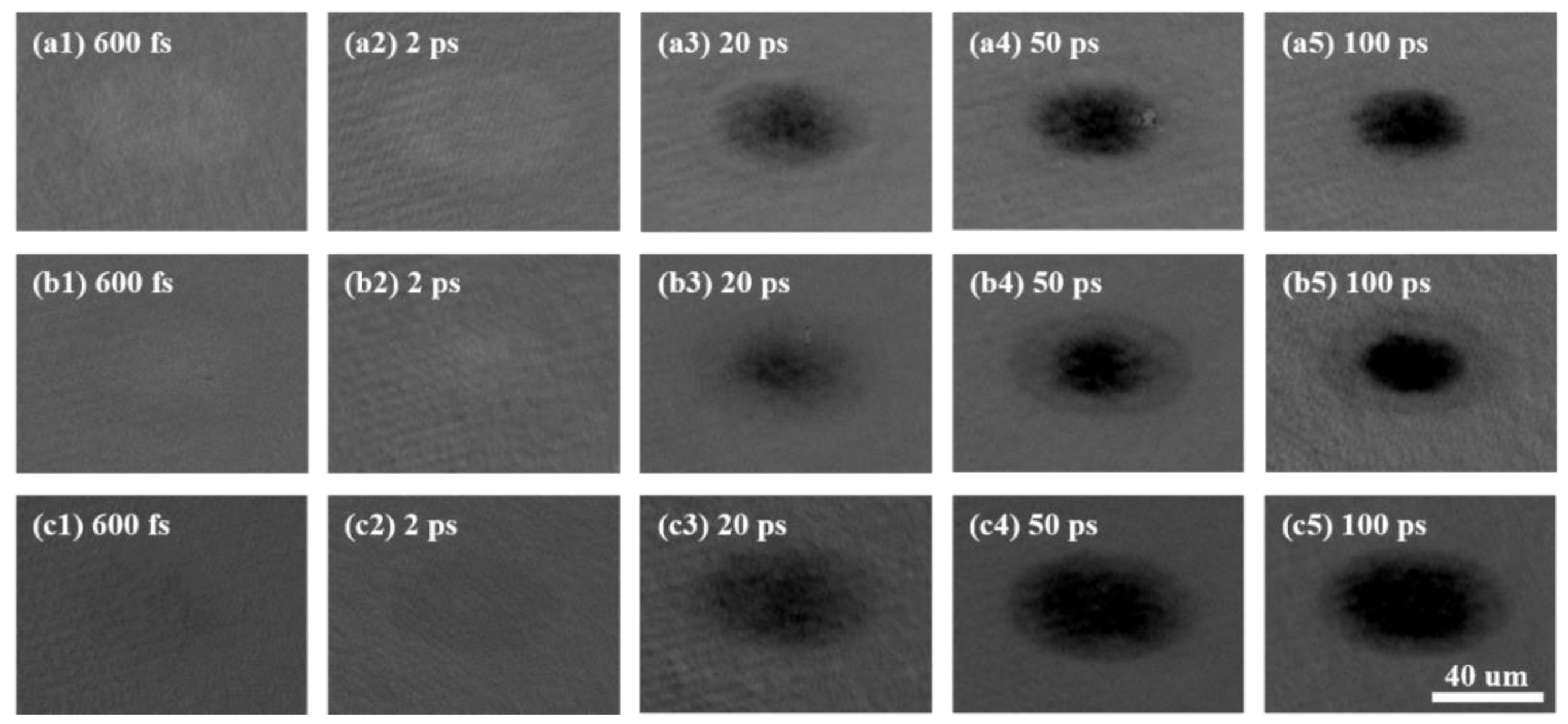Micromachines 13 02168 g002 Micromachines 13 02168 g002