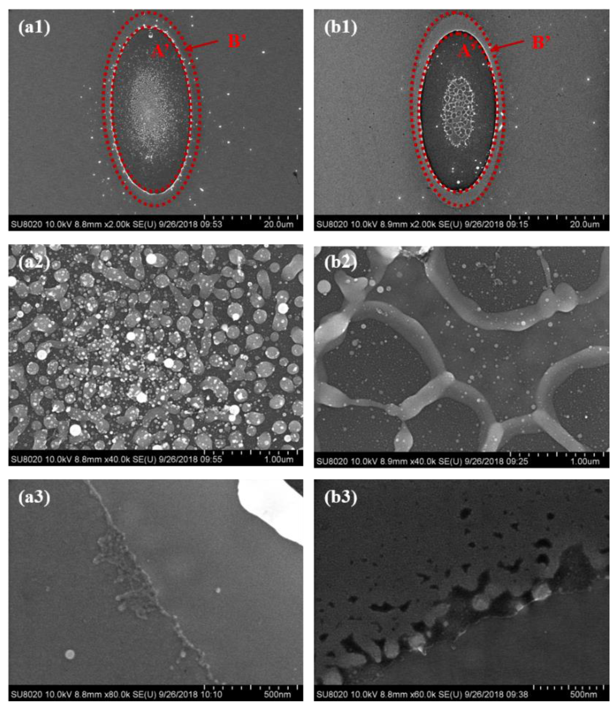 Micromachines 13 02168 g005 Micromachines 13 02168 g005