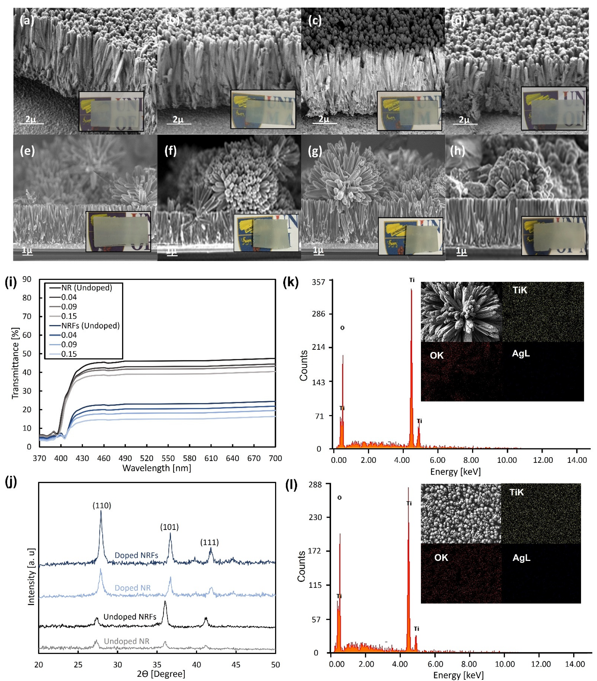Micromachines 13 02169 g001 Micromachines 13 02169 g001