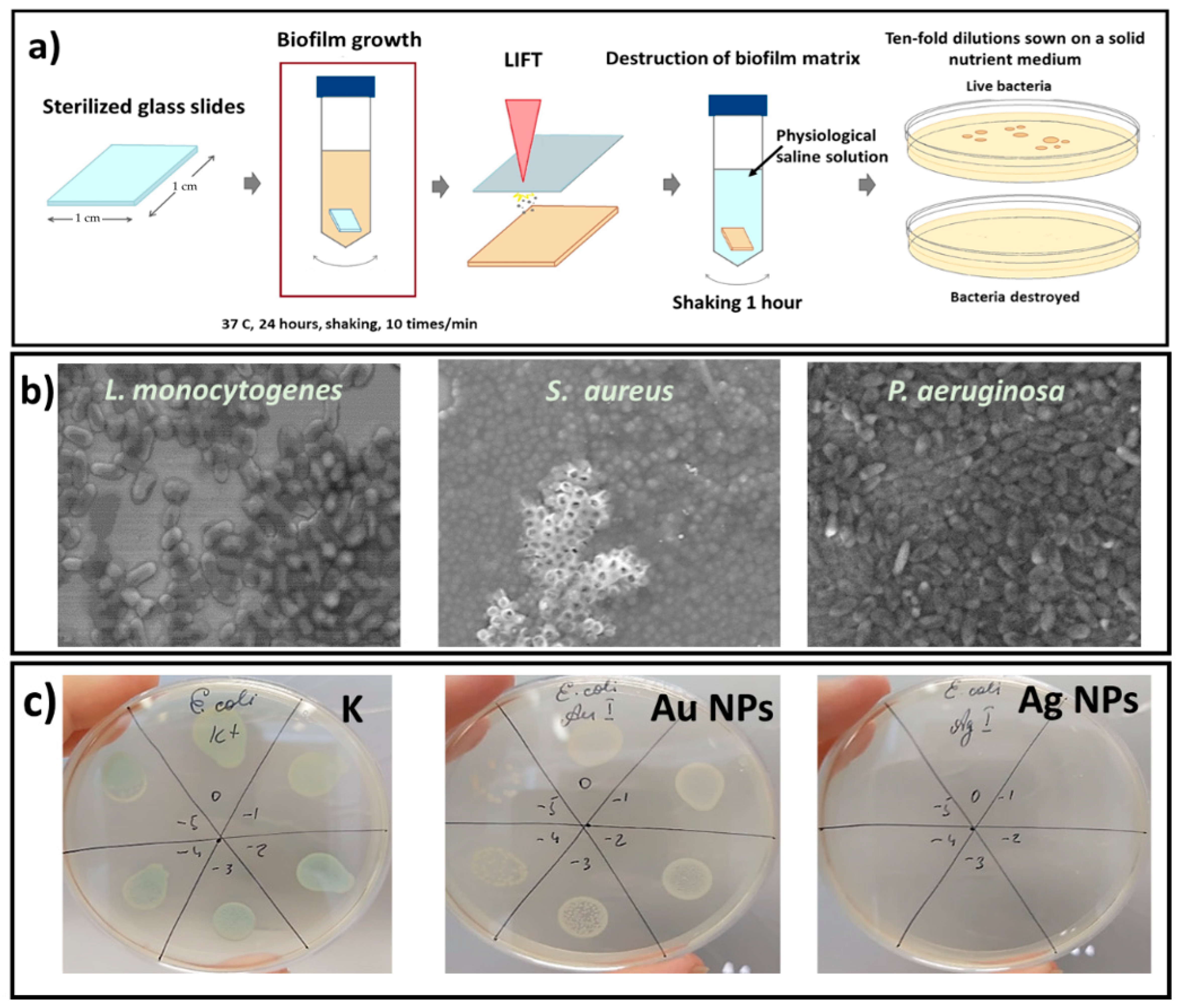 Micromachines 13 02170 g005 Micromachines 13 02170 g005