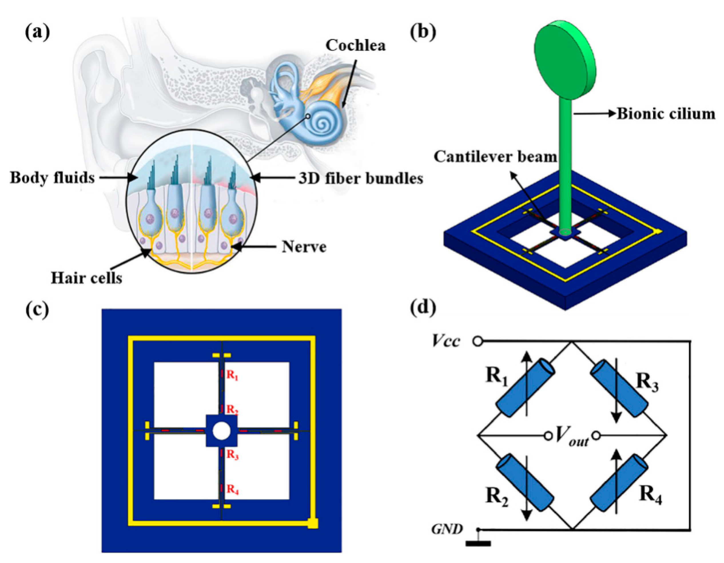 Micromachines 13 02174 g001 Micromachines 13 02174 g001