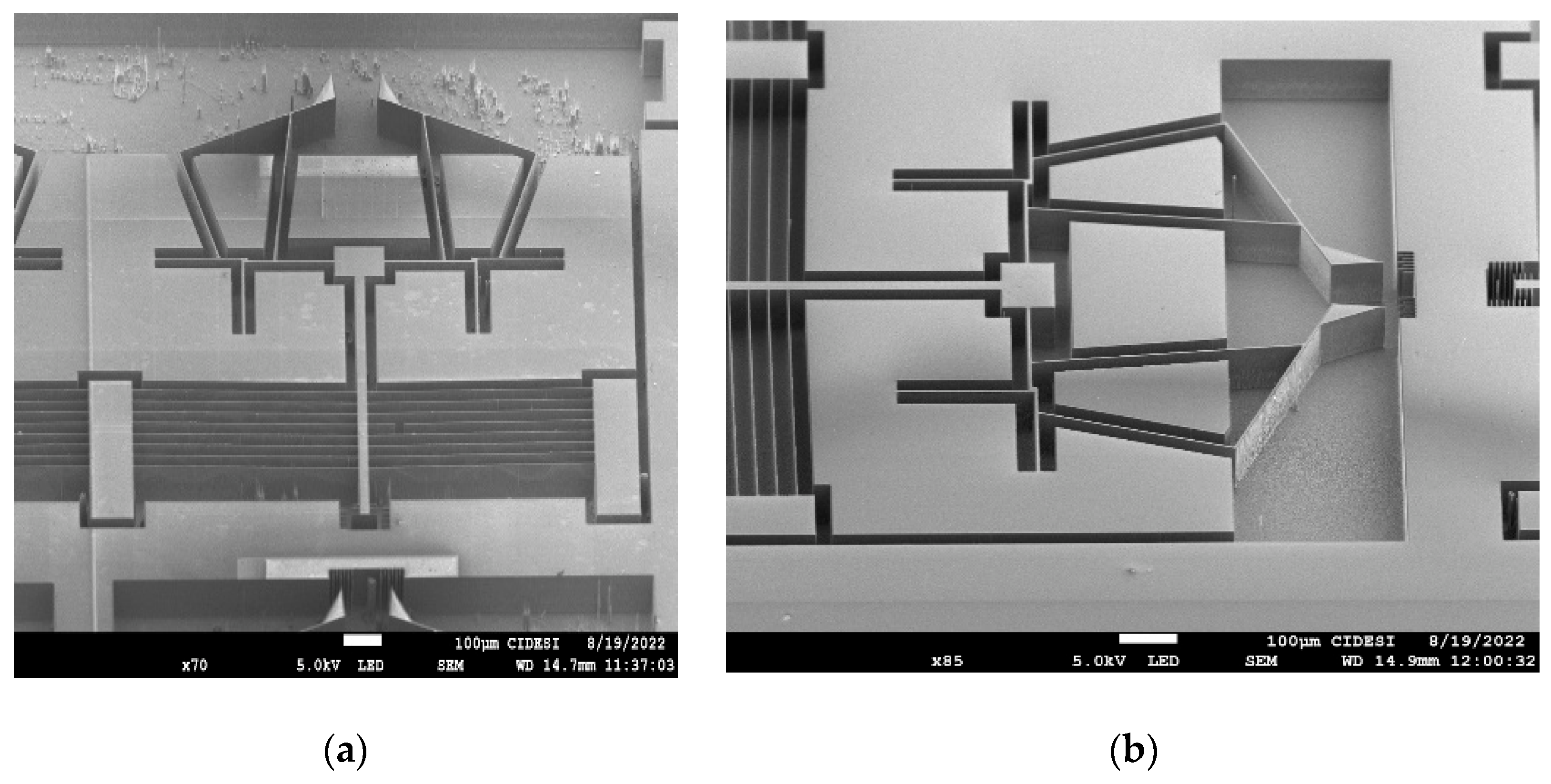 Micromachines 13 02189 g013