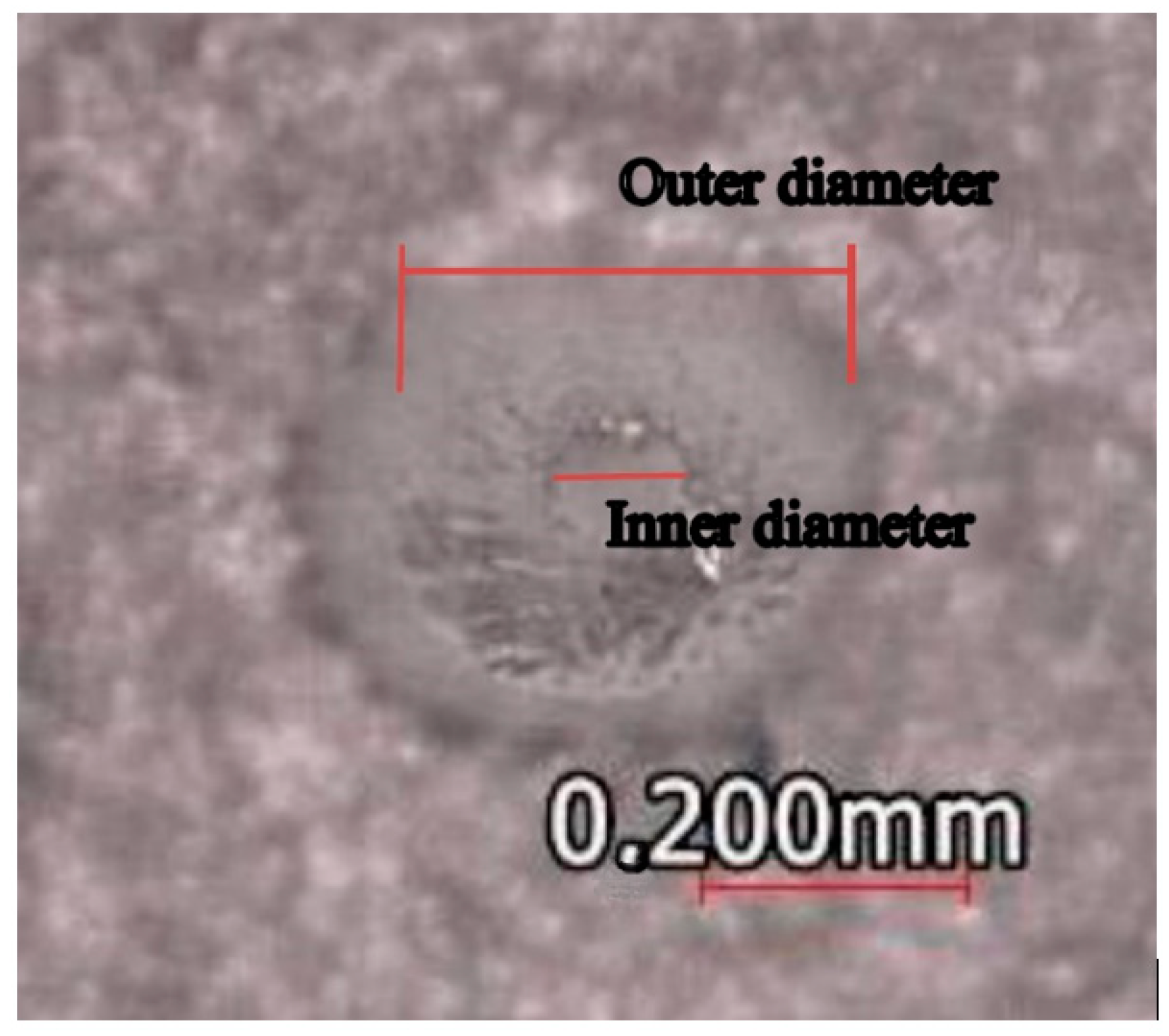 Micromachines 13 02190 g010