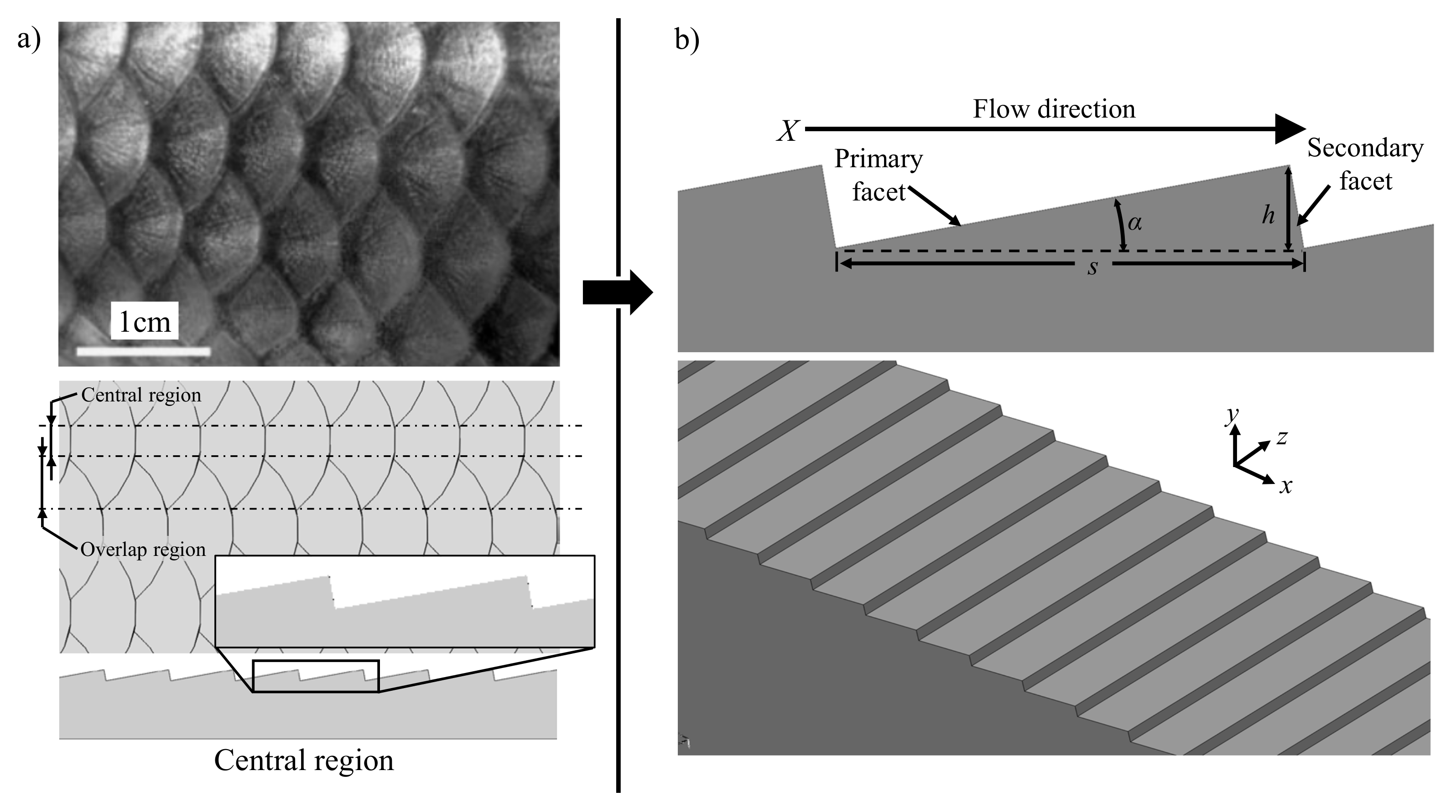 Micromachines 13 02208 g001 Micromachines 13 02208 g001