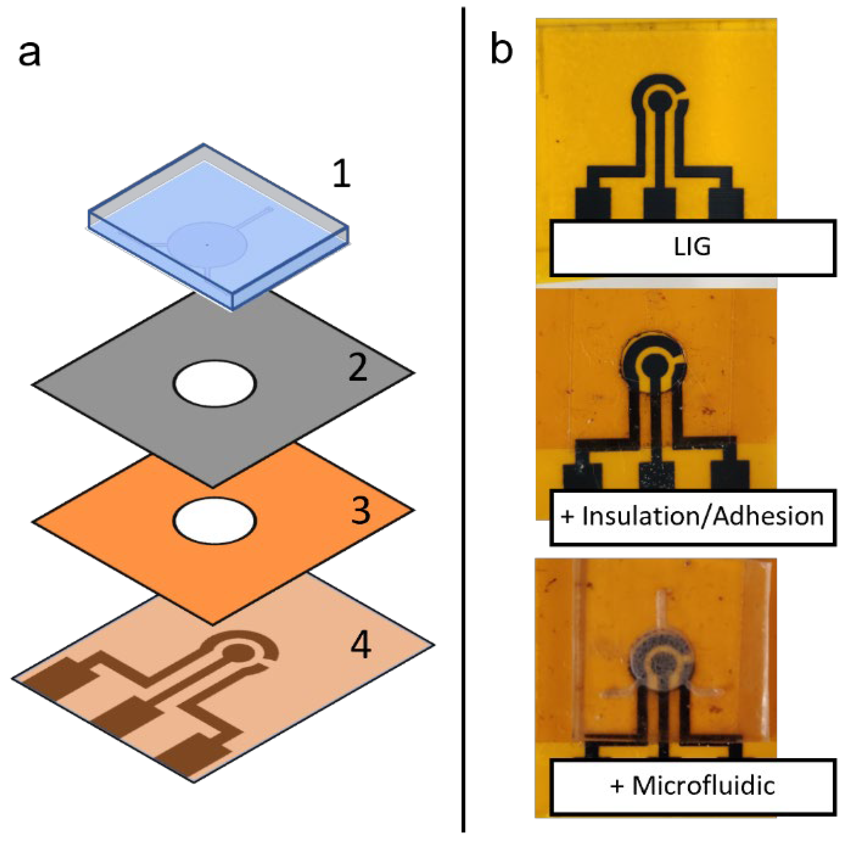 Micromachines 13 02214 g003 Micromachines 13 02214 g003