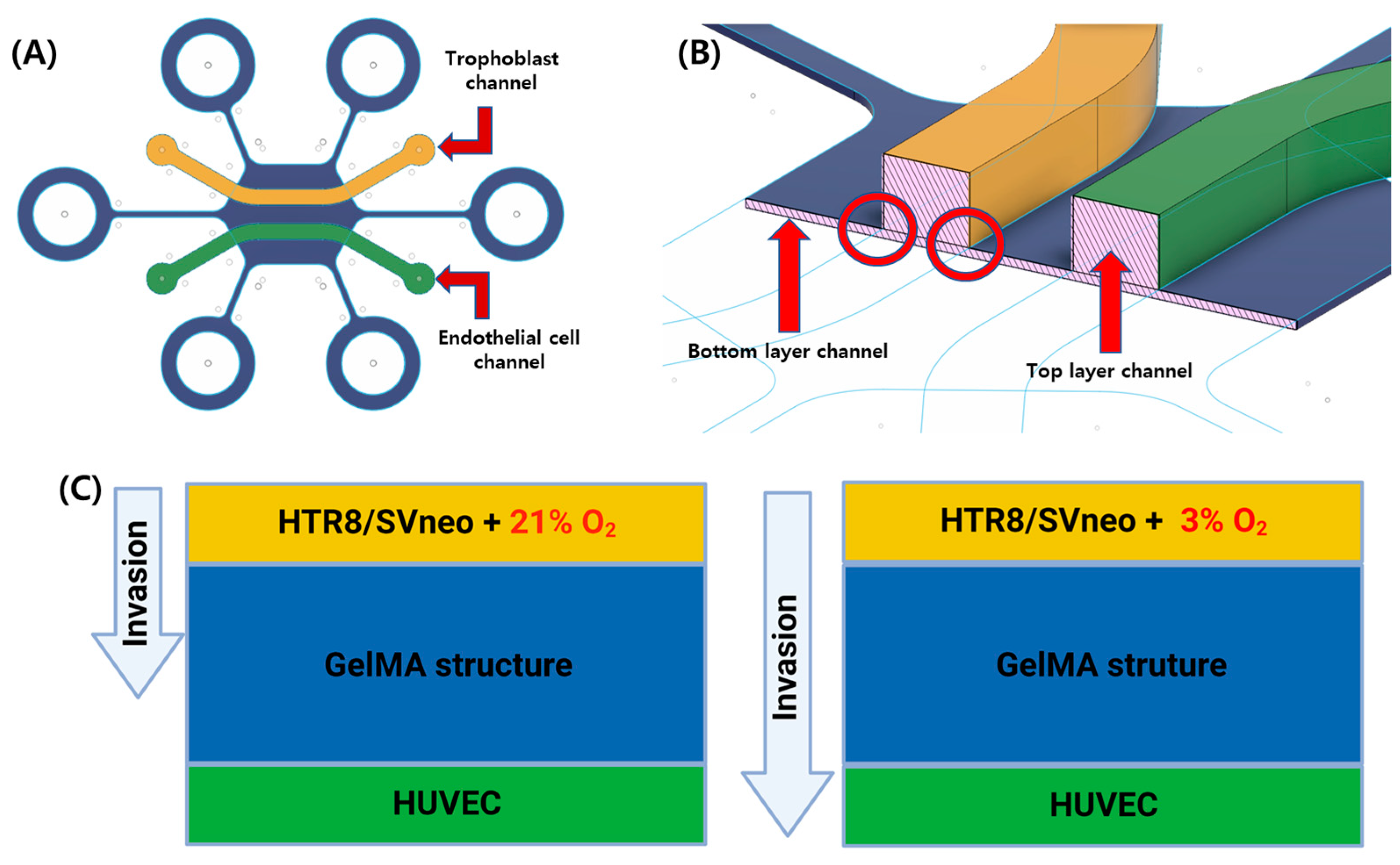 Micromachines 13 02216 g001 Micromachines 13 02216 g001