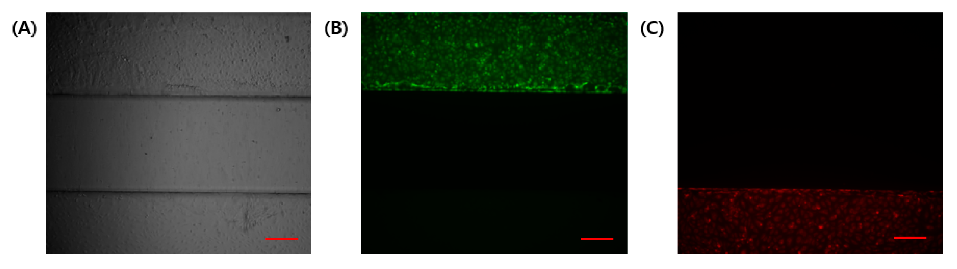 Micromachines 13 02216 g003 Micromachines 13 02216 g003
