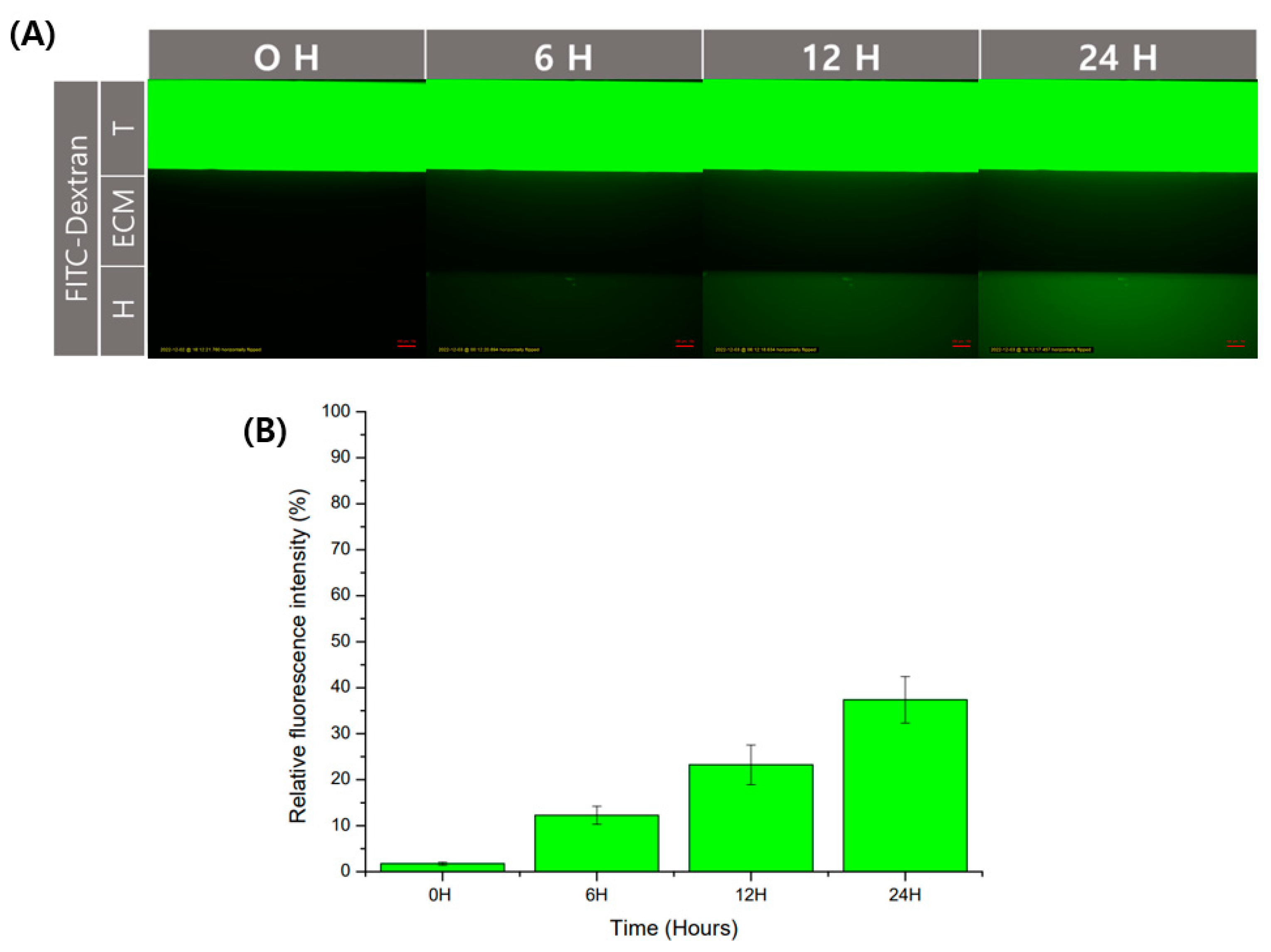 Micromachines 13 02216 g004 Micromachines 13 02216 g004