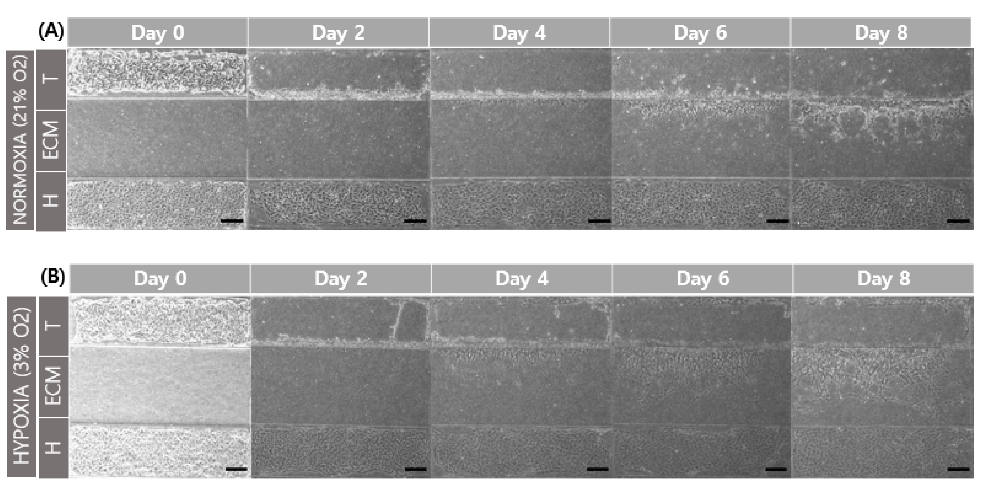Micromachines 13 02216 g006a Micromachines 13 02216 g006a