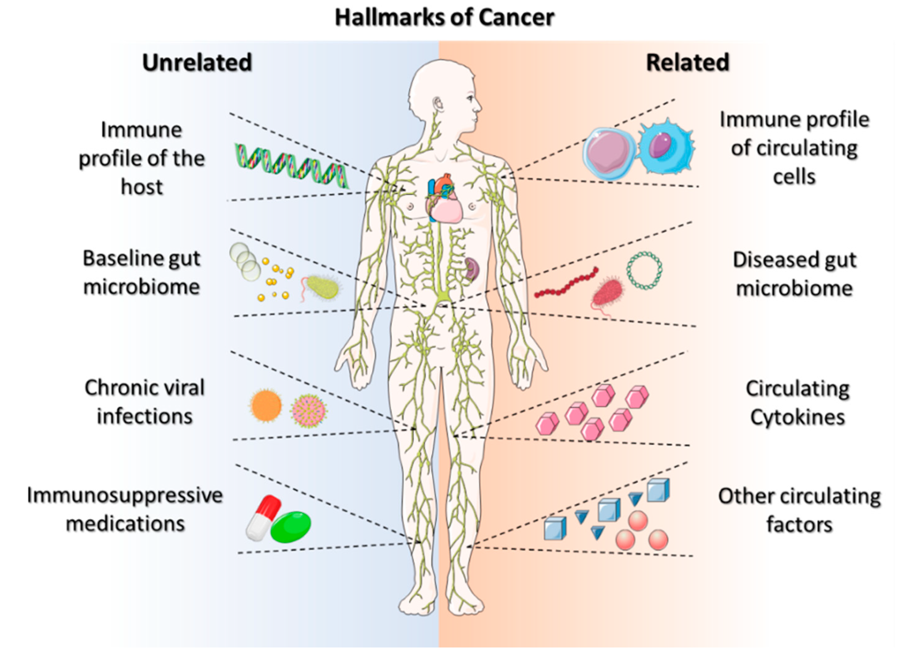 Micromachines 13 02217 g001 Micromachines 13 02217 g001