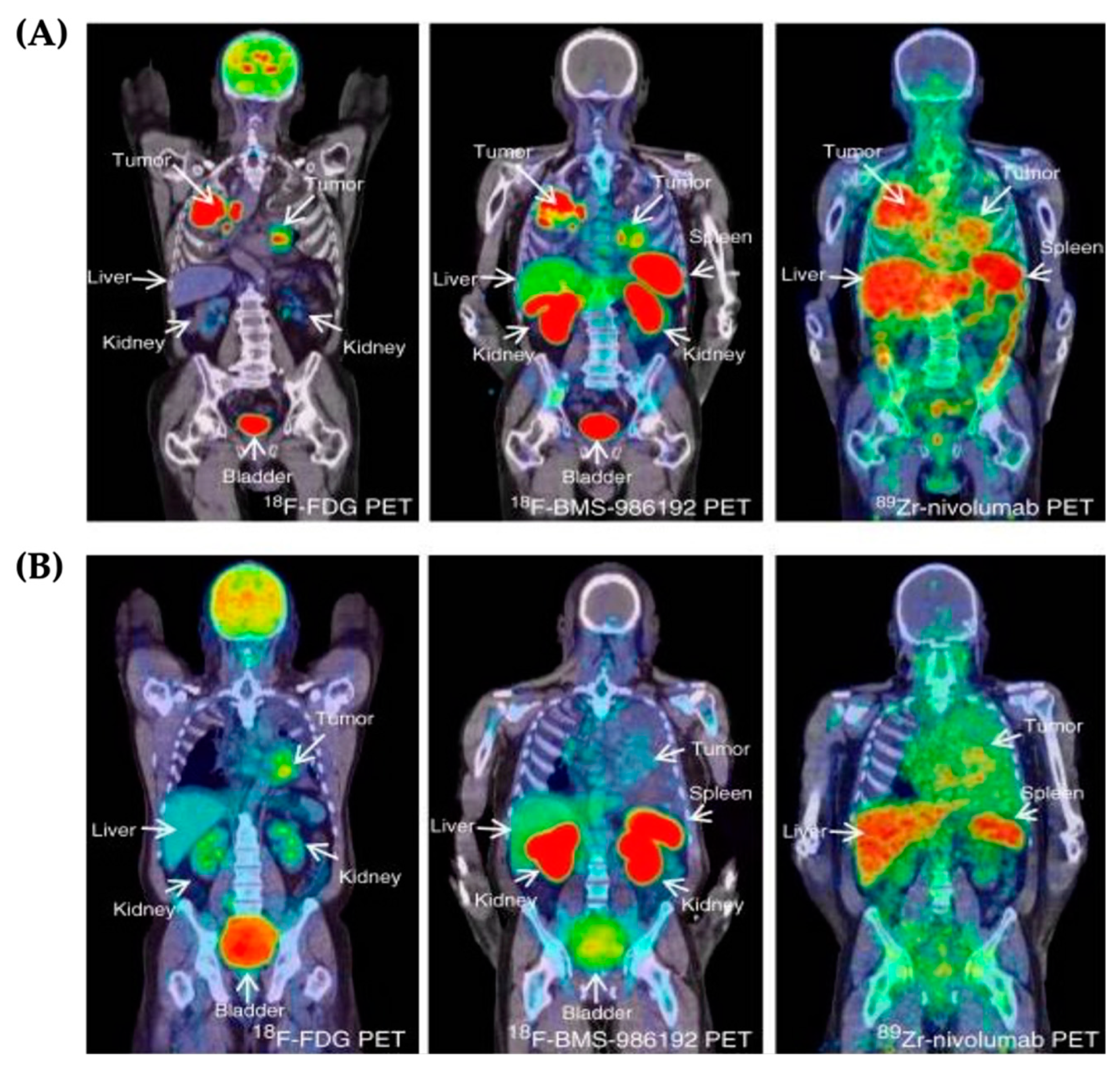 Micromachines 13 02217 g008 Micromachines 13 02217 g008