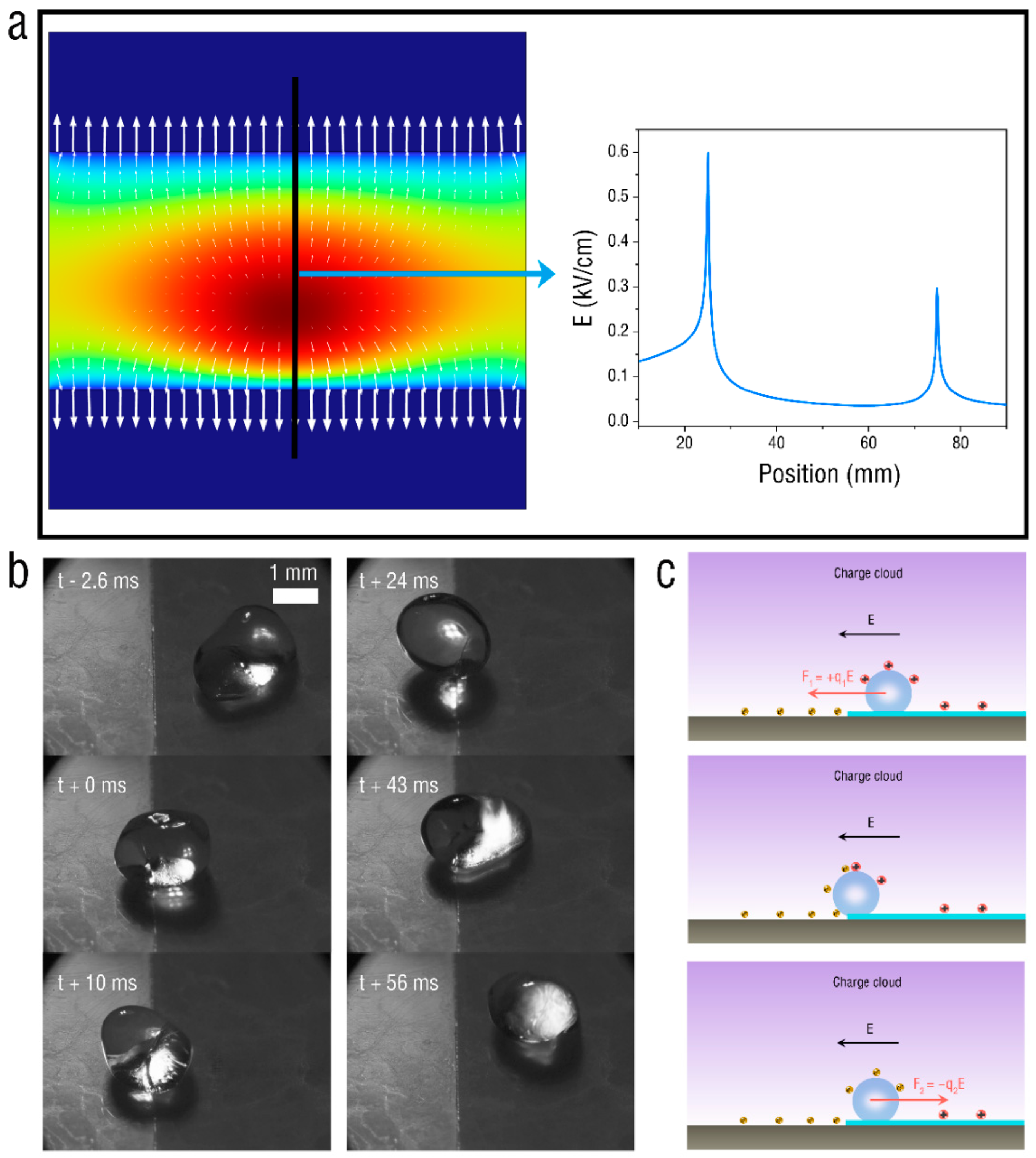 Micromachines 13 02229 g006