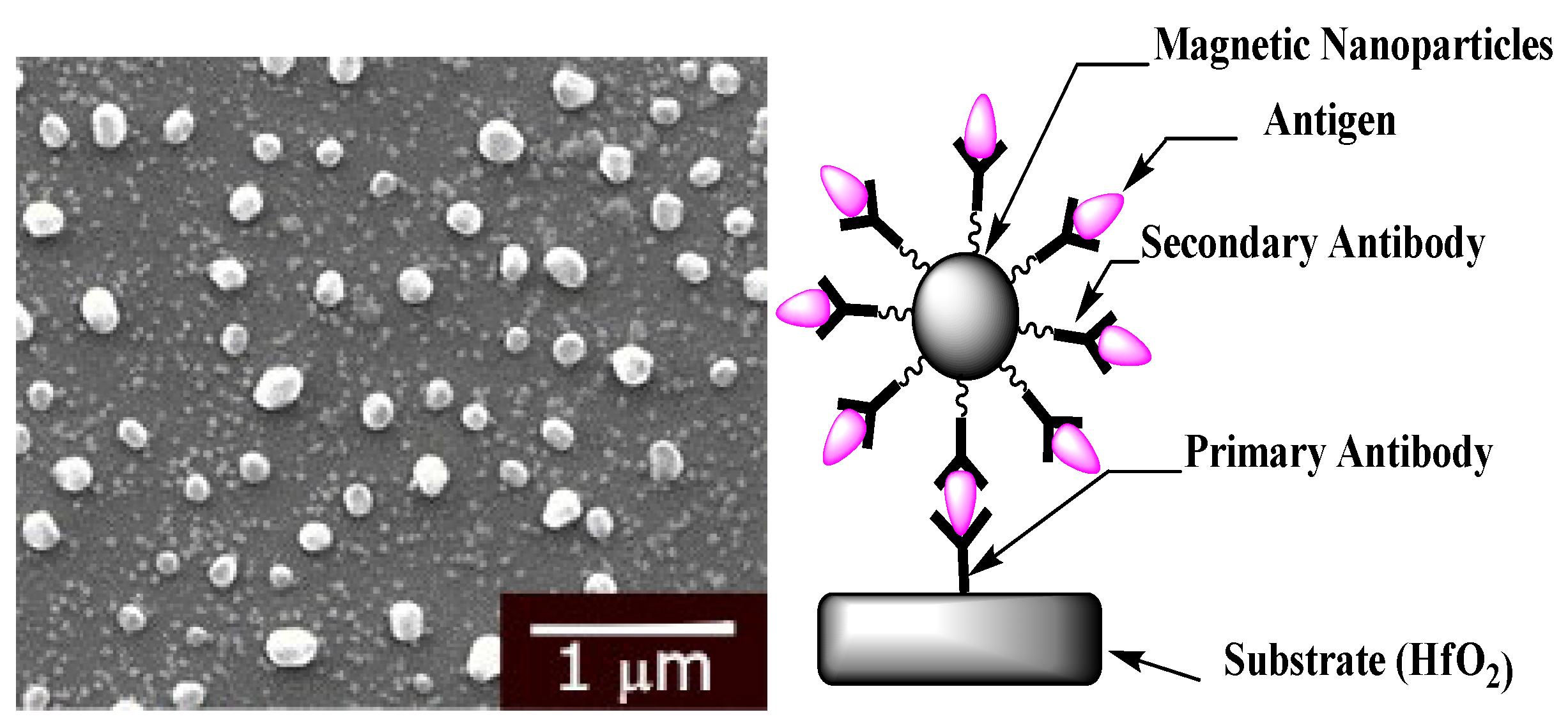 Micromachines 13 02235 g008