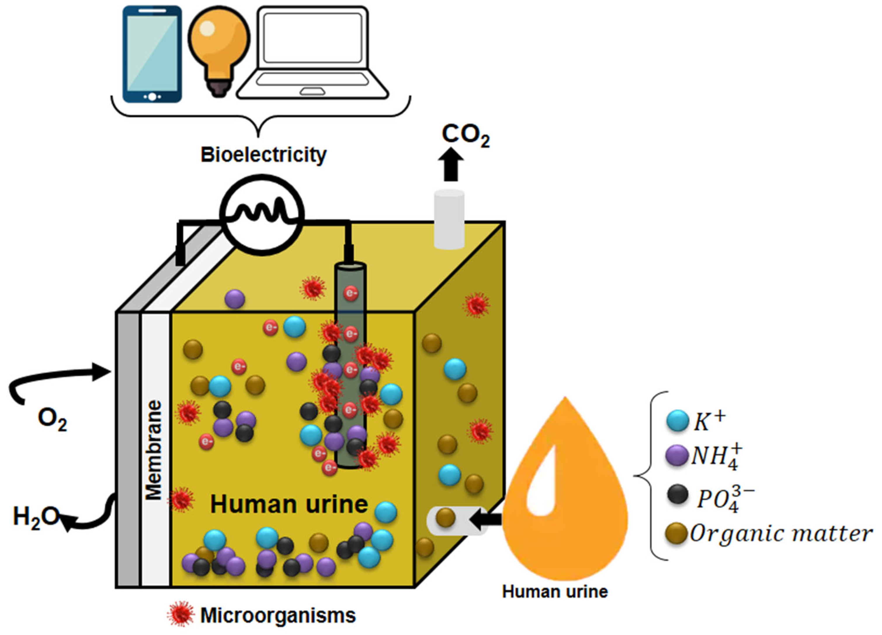 Micromachines 13 02239 g006 Micromachines 13 02239 g006