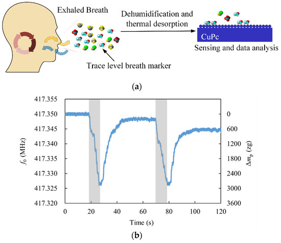 A Piezoelectrically Excited ZnO Nanowire Mass Sensor with