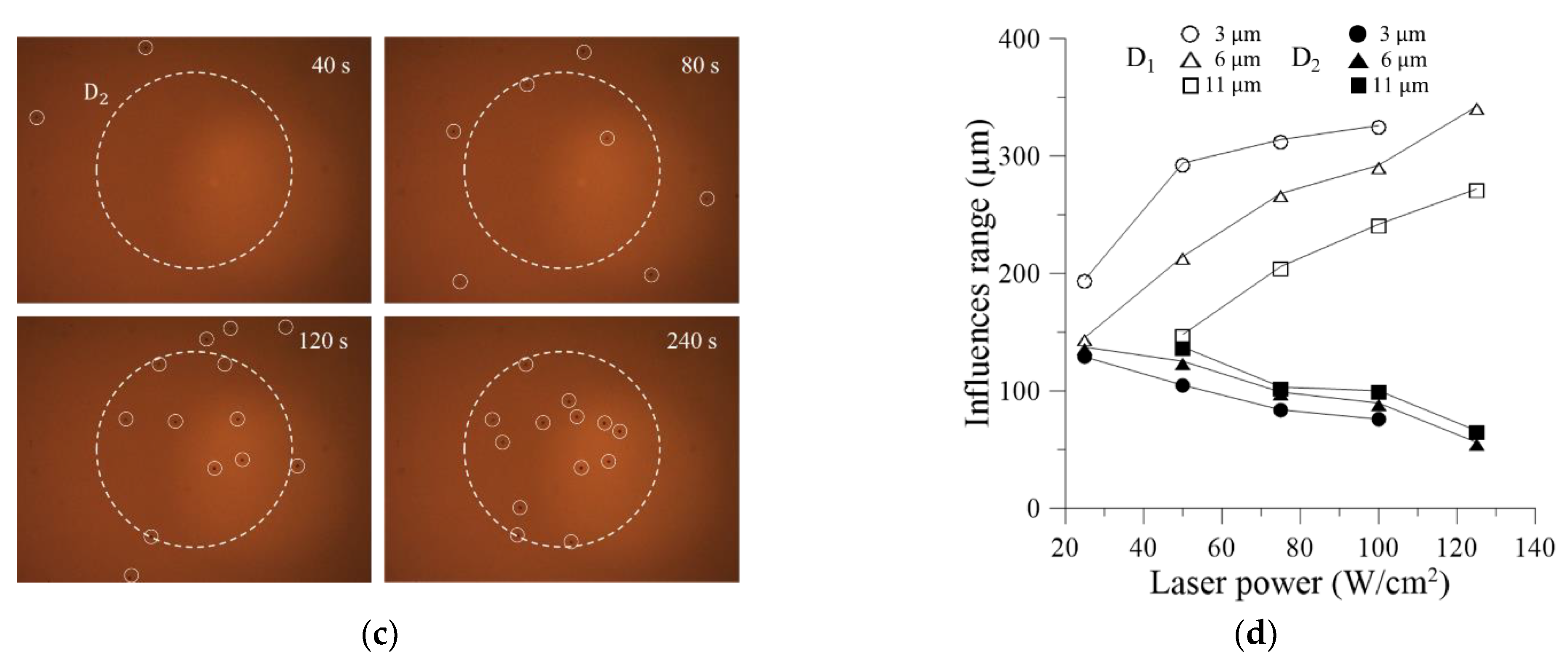 Micromachines 13 02245 g005b