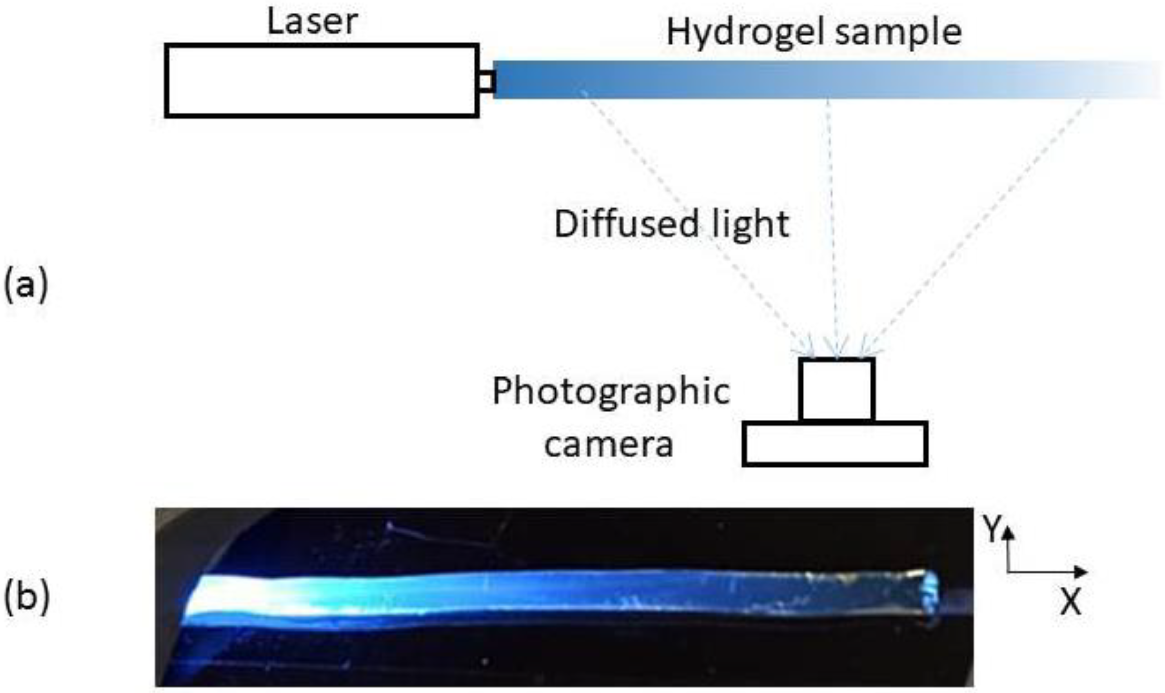 Micromachines 13 02253 g001