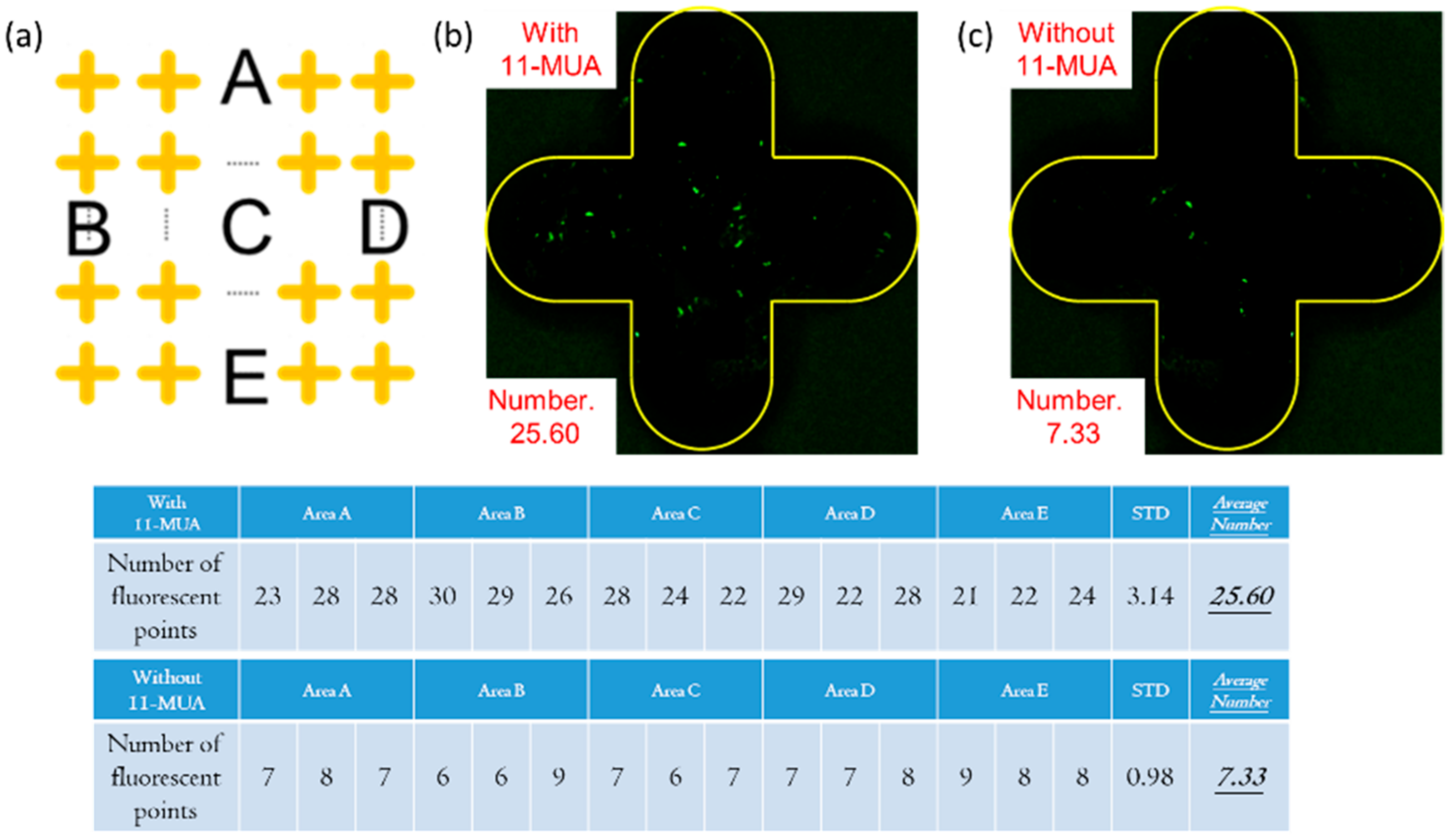 Micromachines 13 02257 g004 Micromachines 13 02257 g004