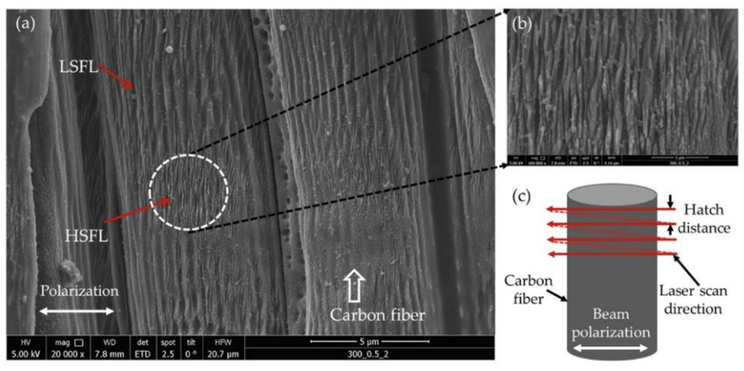 Micromachines 14 00024 g010 Micromachines 14 00024 g010