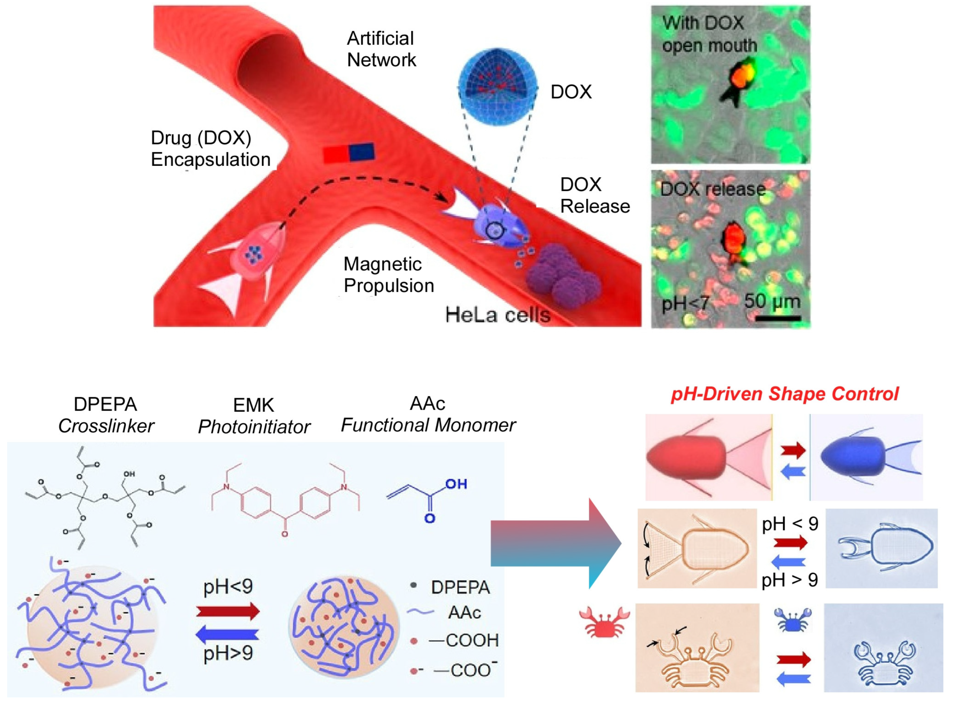Micromachines 14 00025 g017 Micromachines 14 00025 g017
