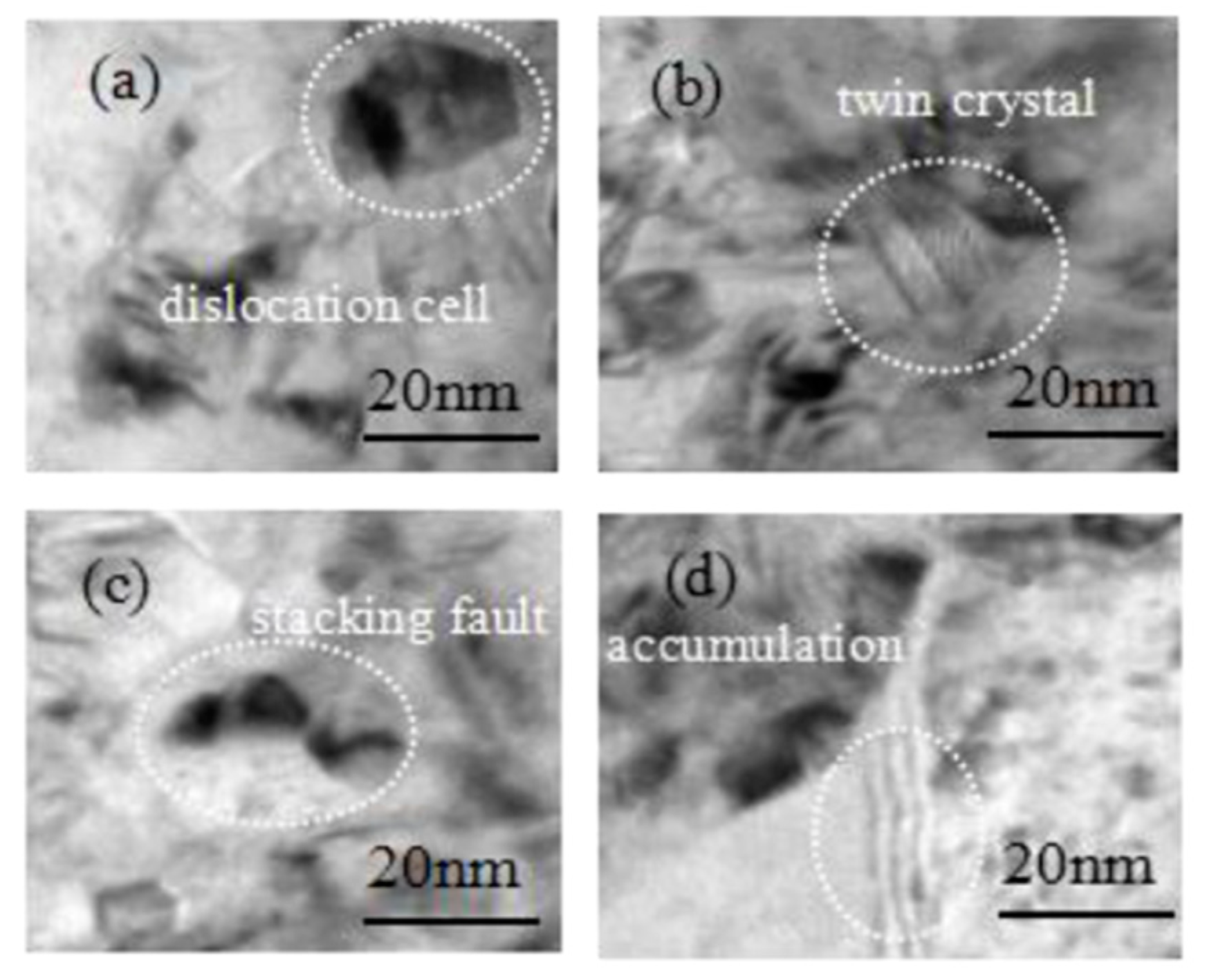 Micromachines 14 00034 g010