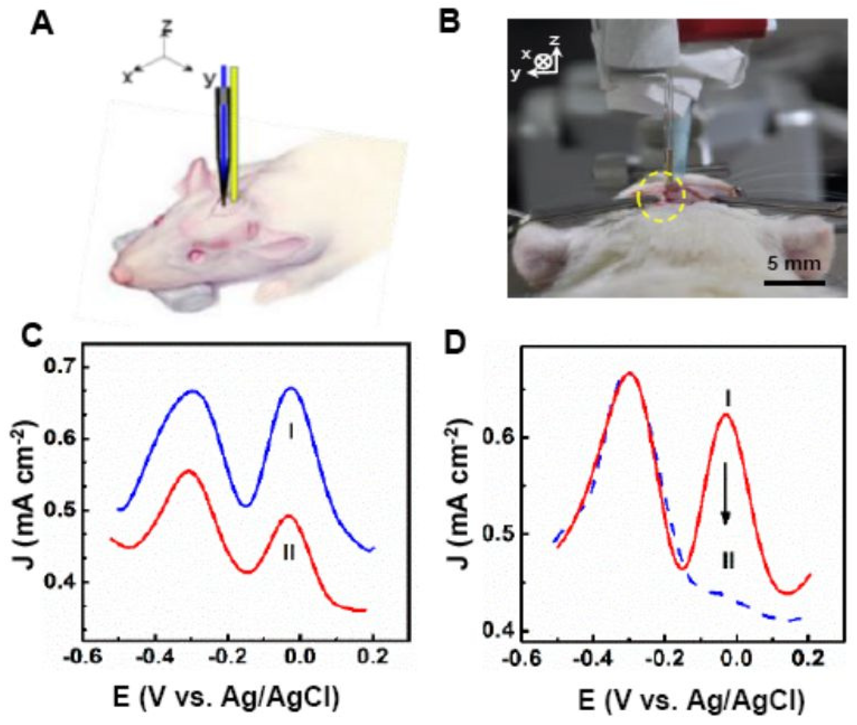 Micromachines 14 00041 g005