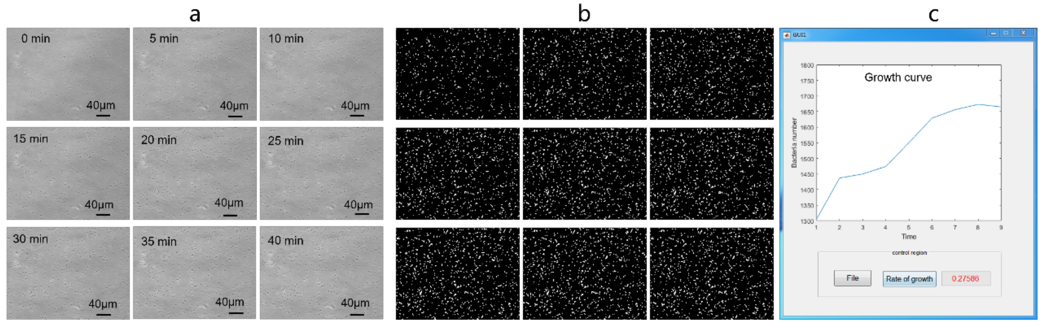 Micromachines 14 00046 g005