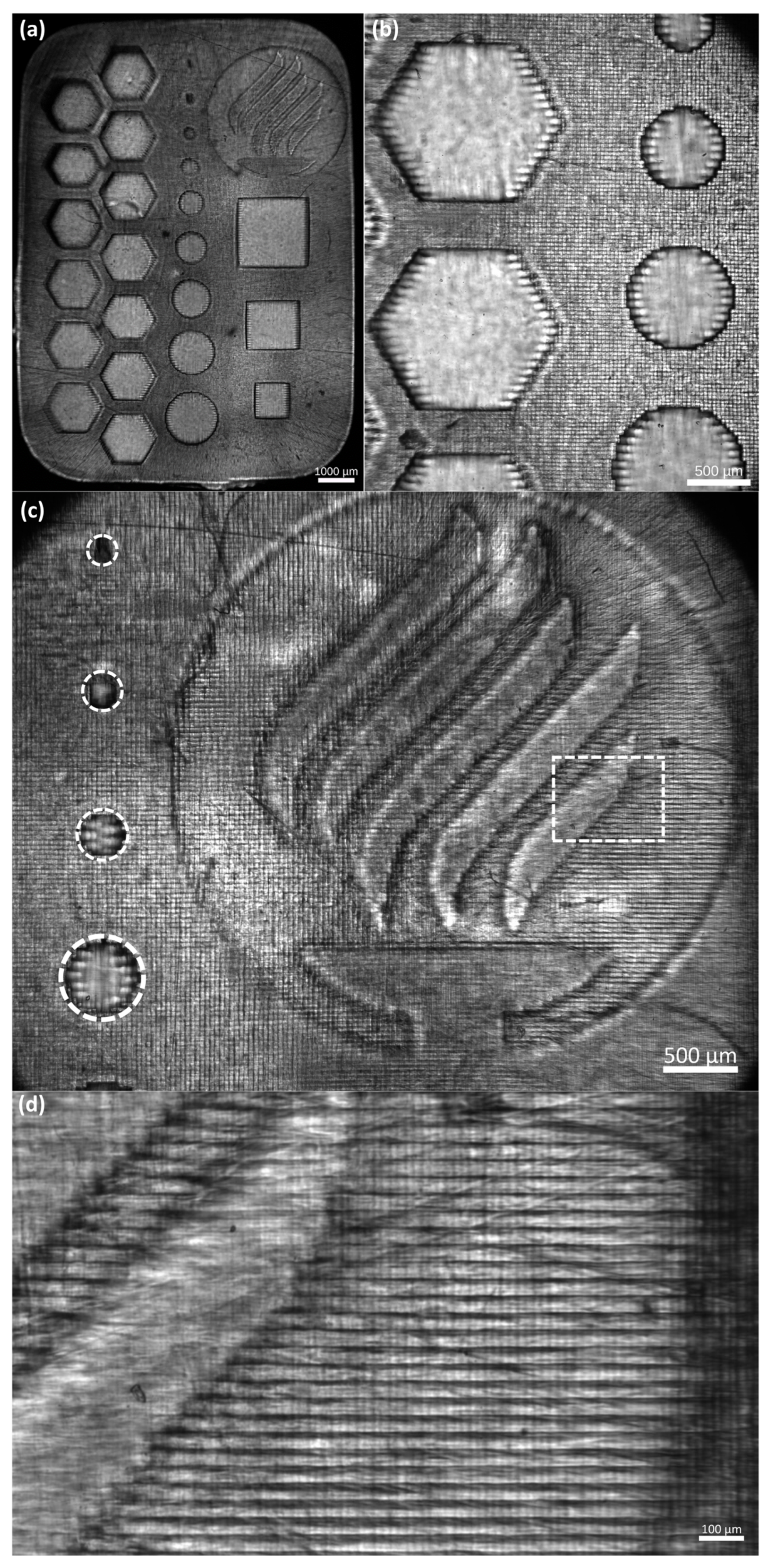 Micromachines 14 00055 g006
