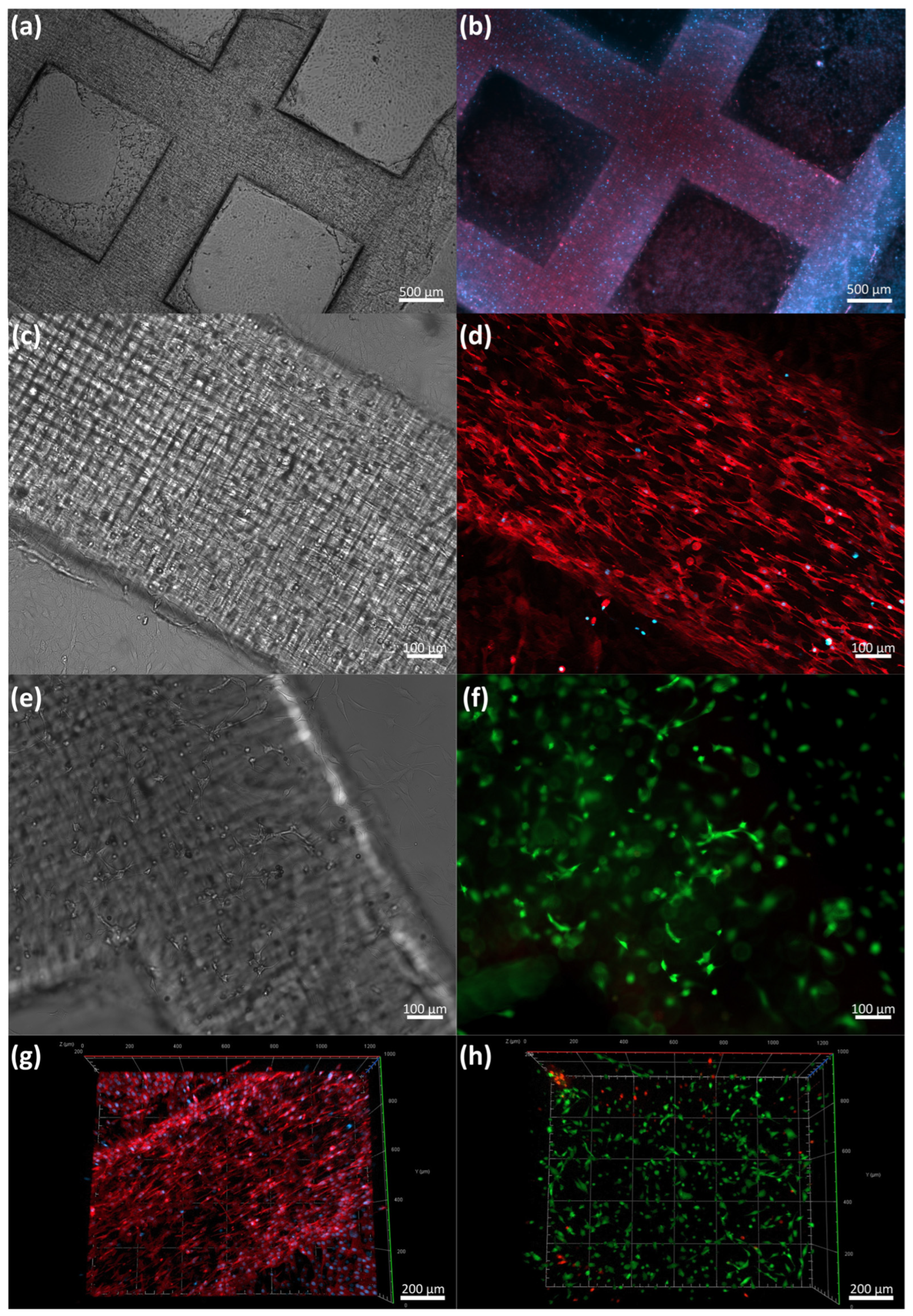 Micromachines 14 00055 g008