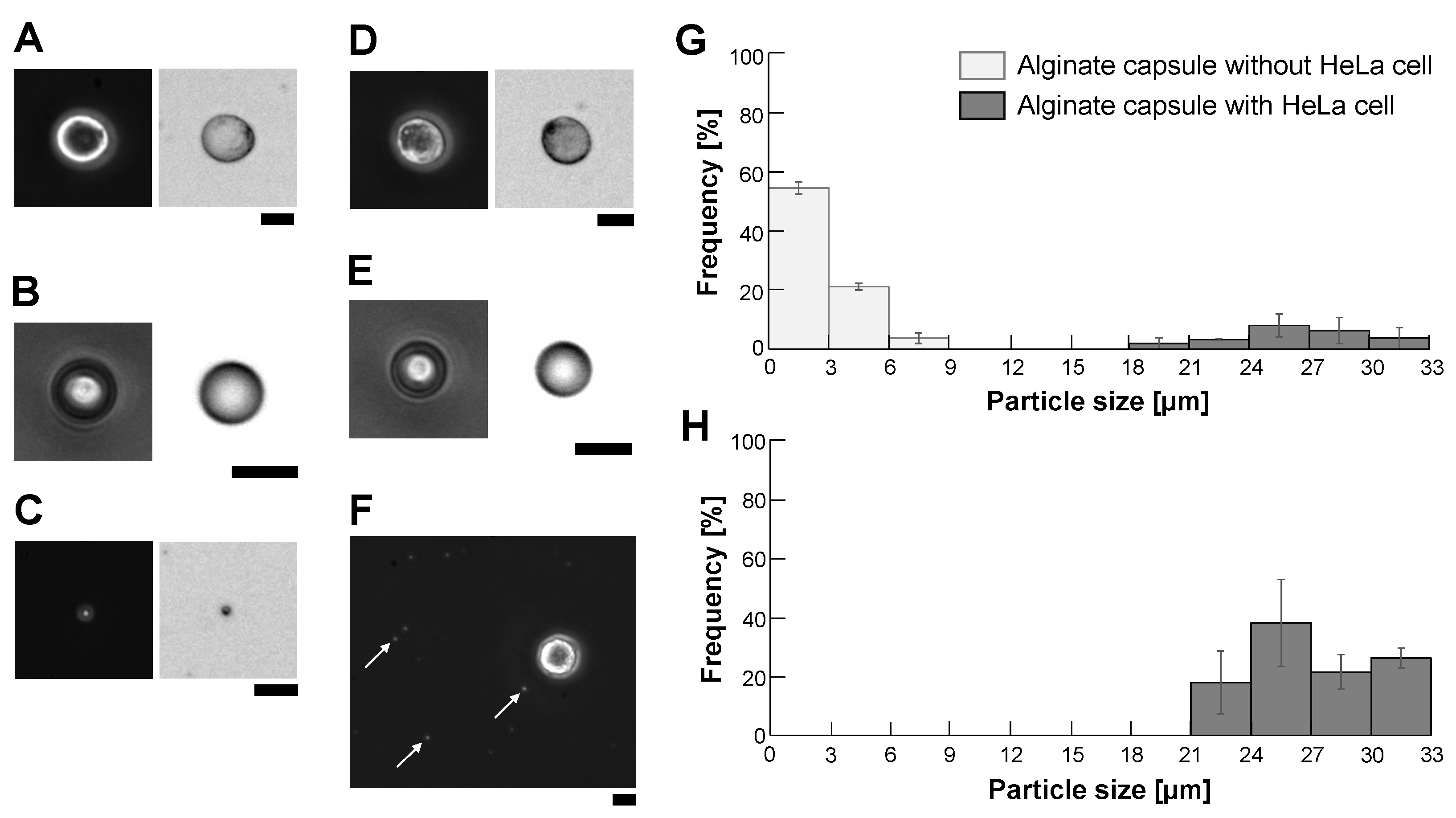 Micromachines 14 00072 g005