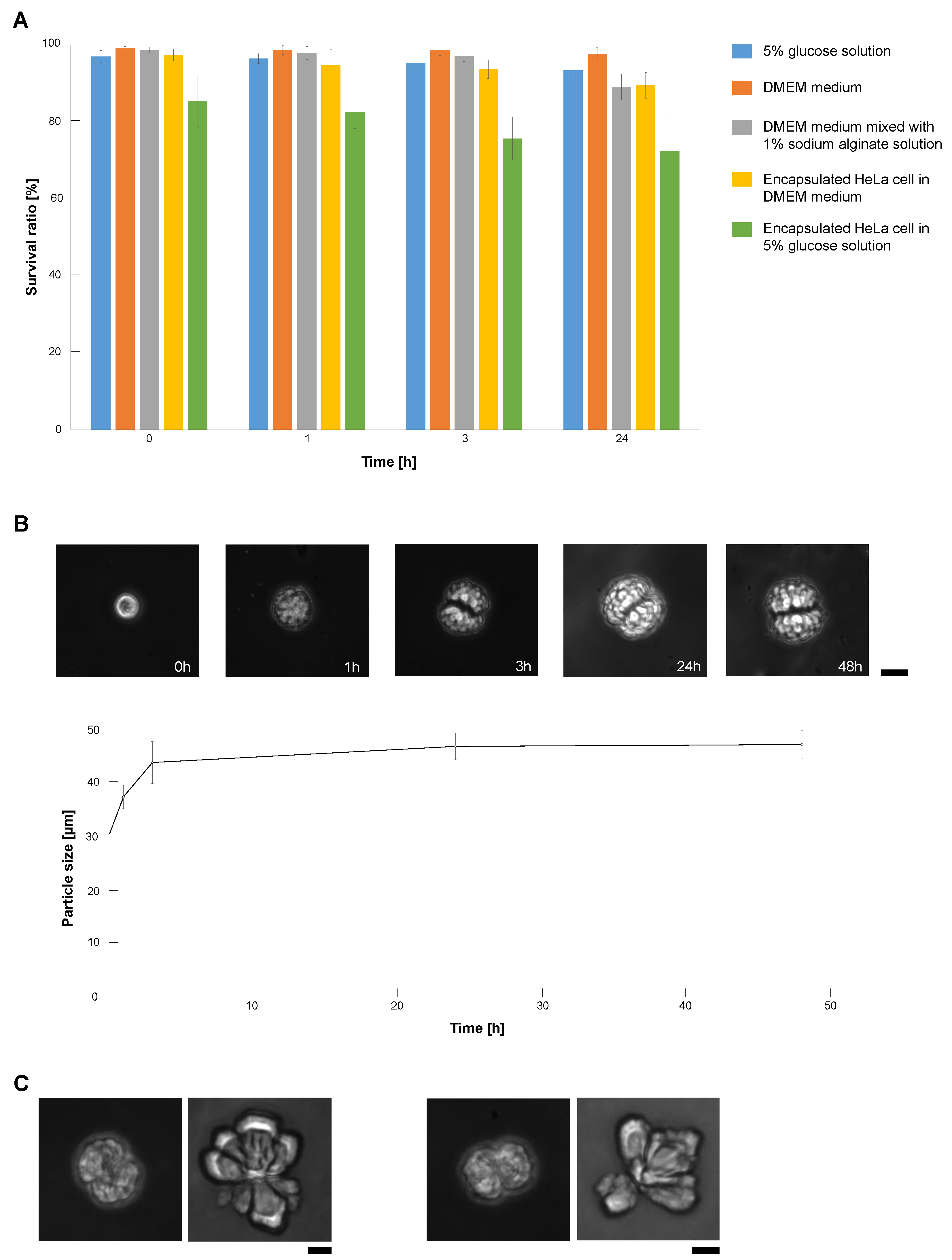 Micromachines 14 00072 g006