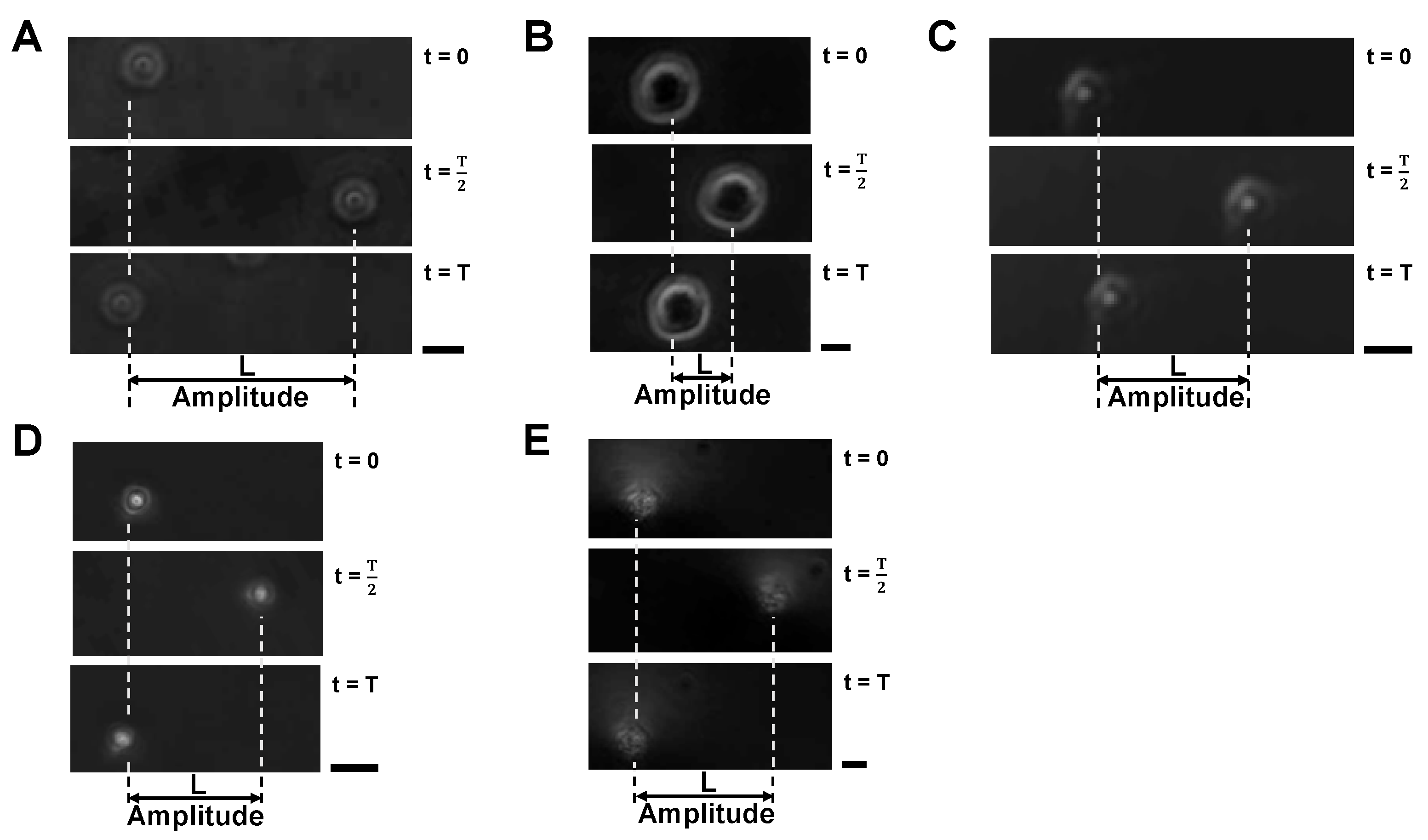 Micromachines 14 00072 g008